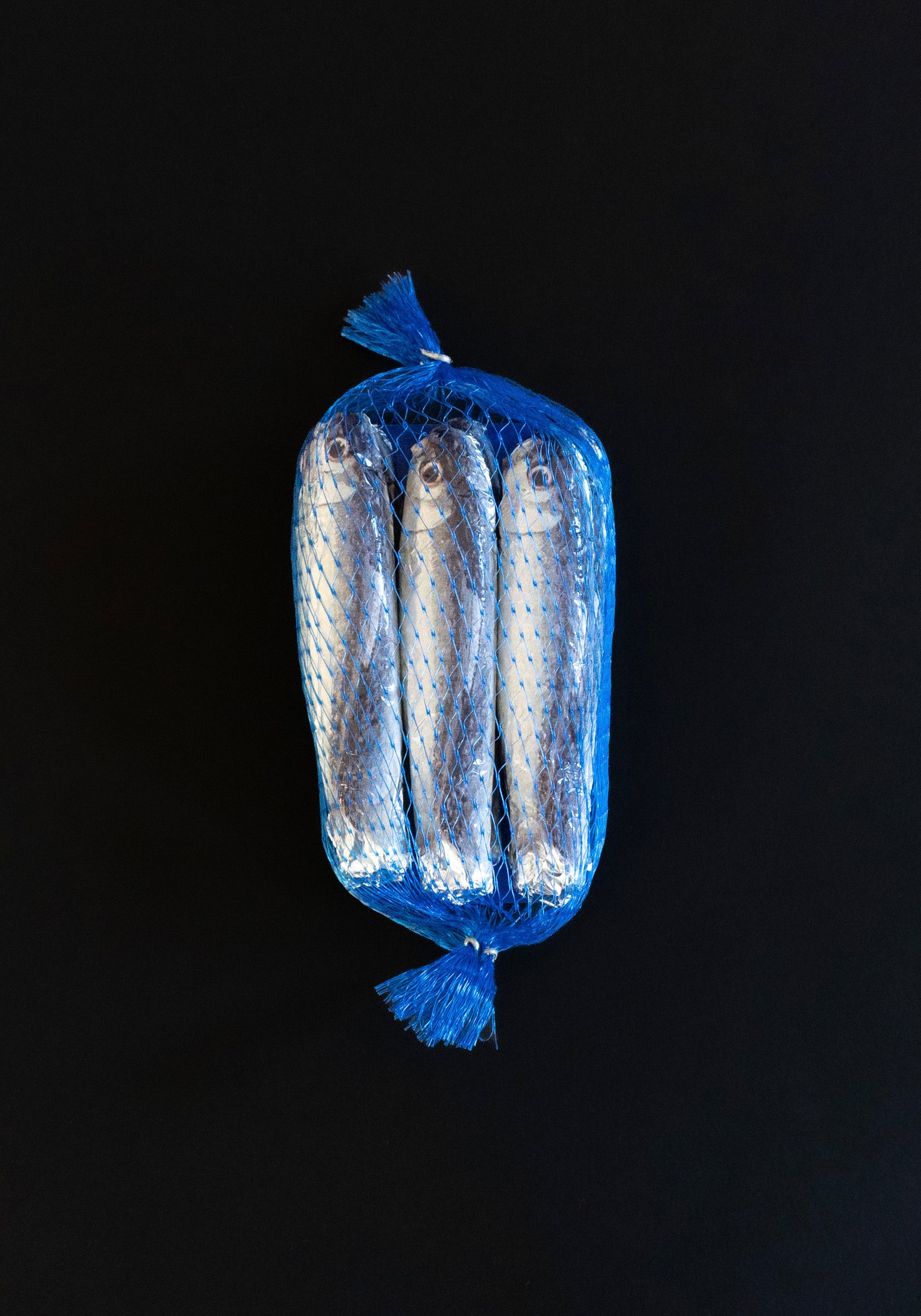 Sardine Chocolate in Blue Net