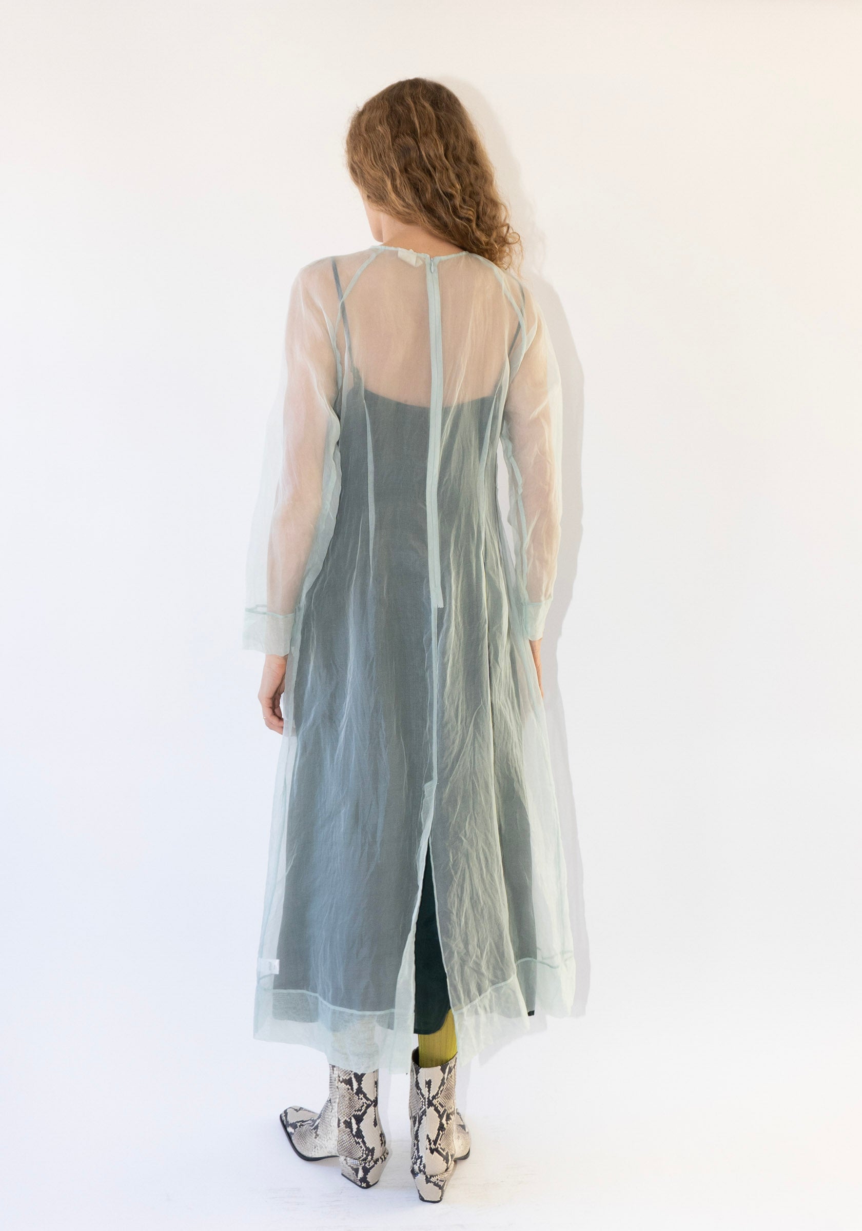 Scenic Dress in Frost