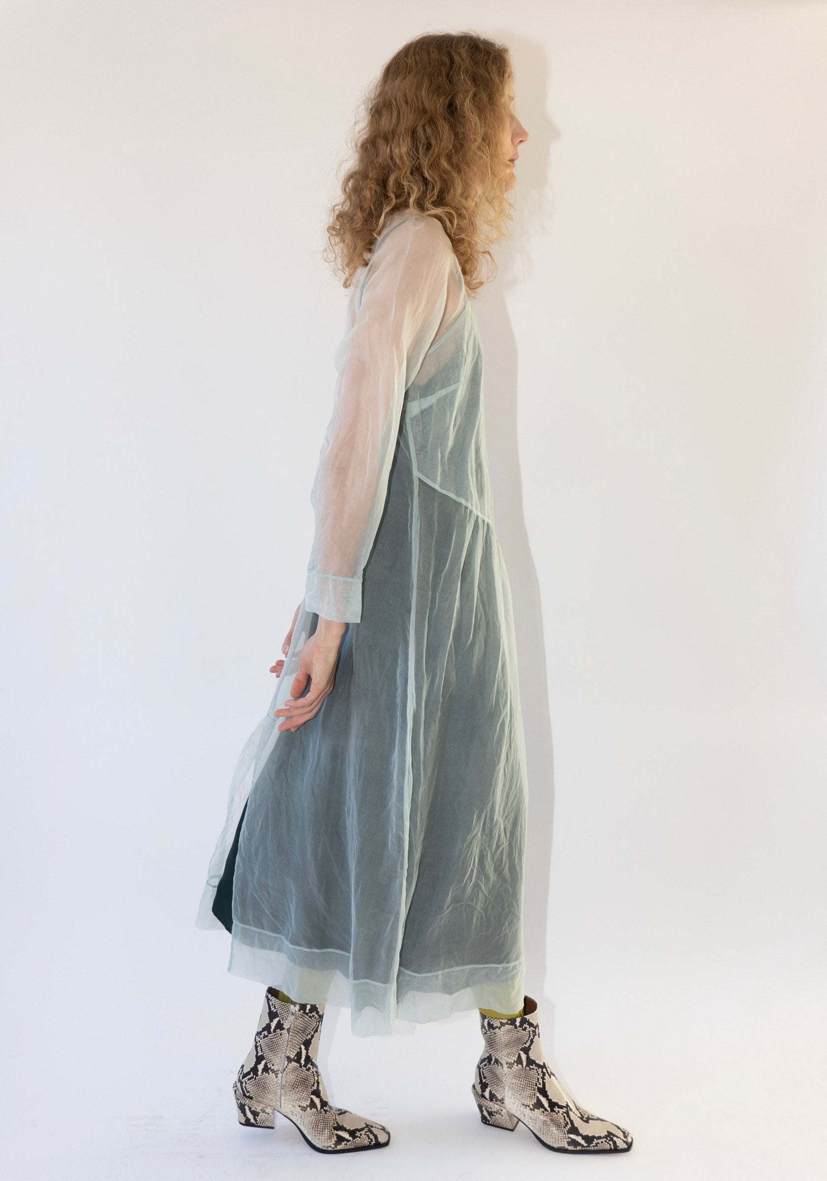 Scenic Dress in Frost