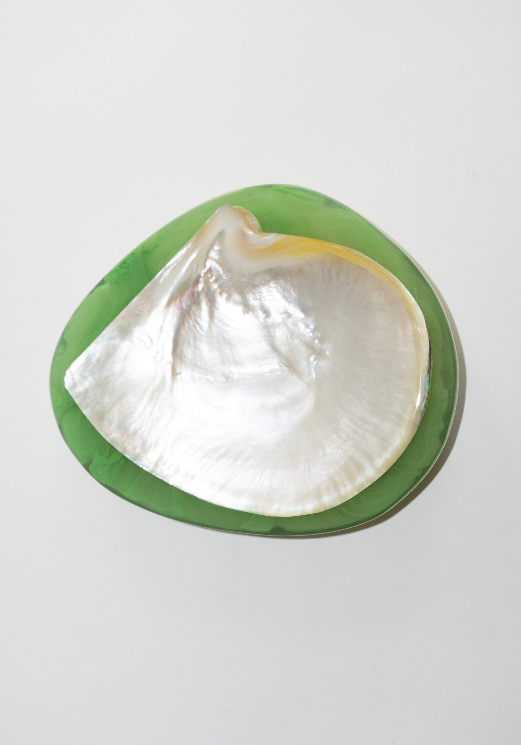 Round Shell Caviar Dish in Green