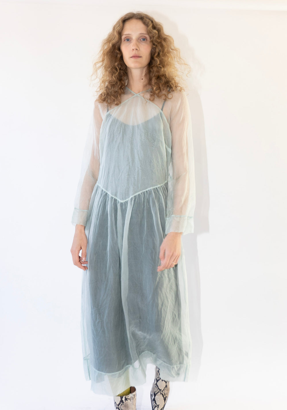 Scenic Dress in Frost