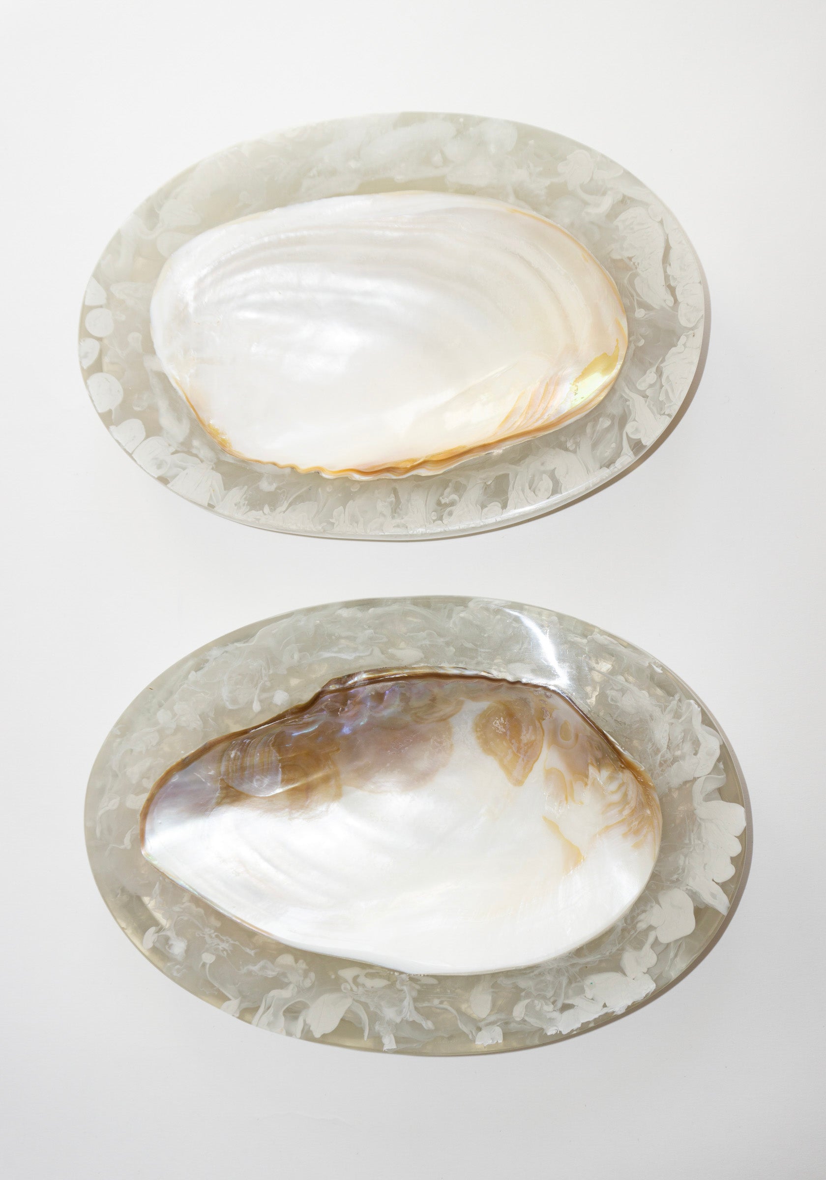 Large Resin Shell Caviar Dish in Clear