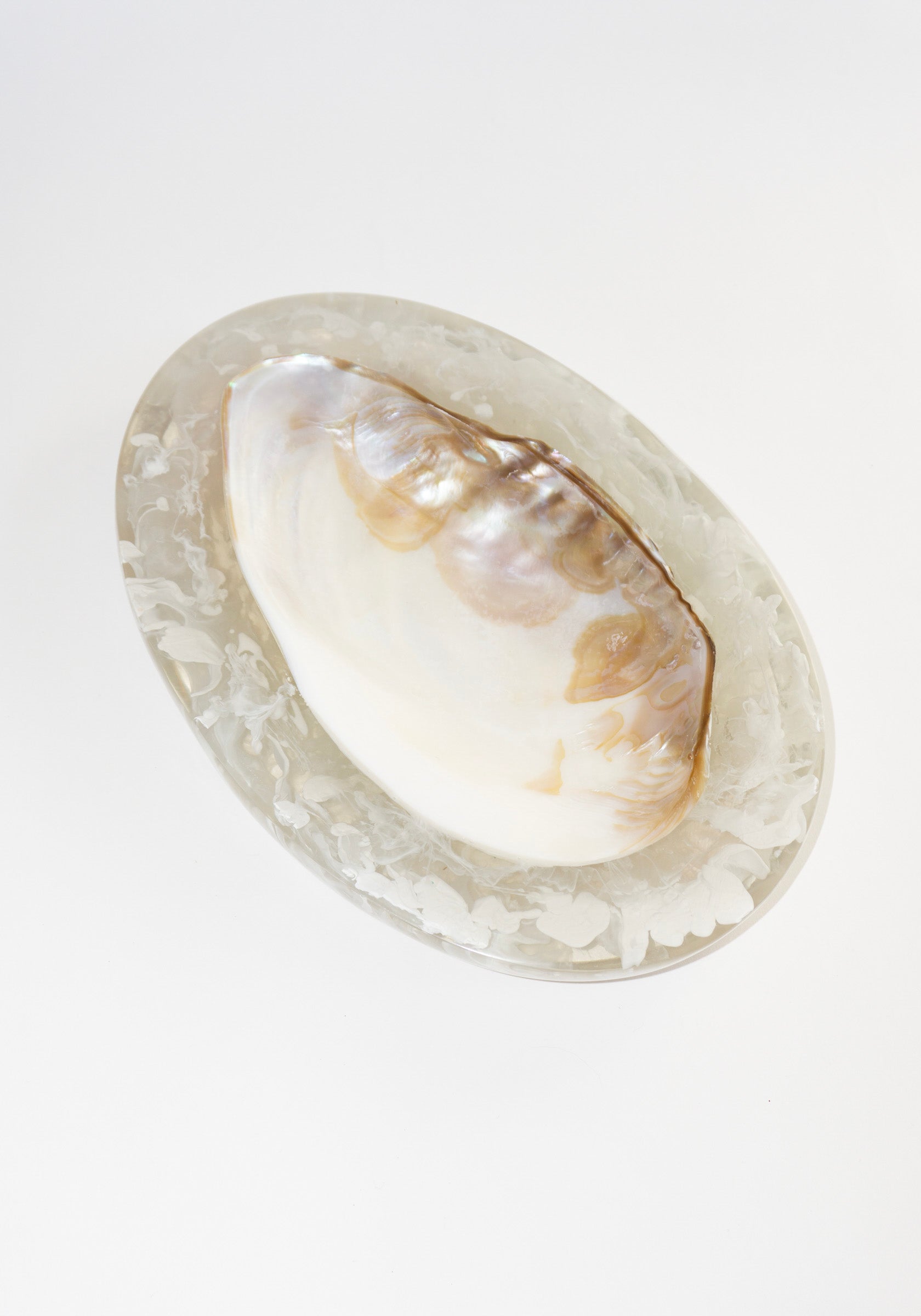 Large Resin Shell Caviar Dish in Clear