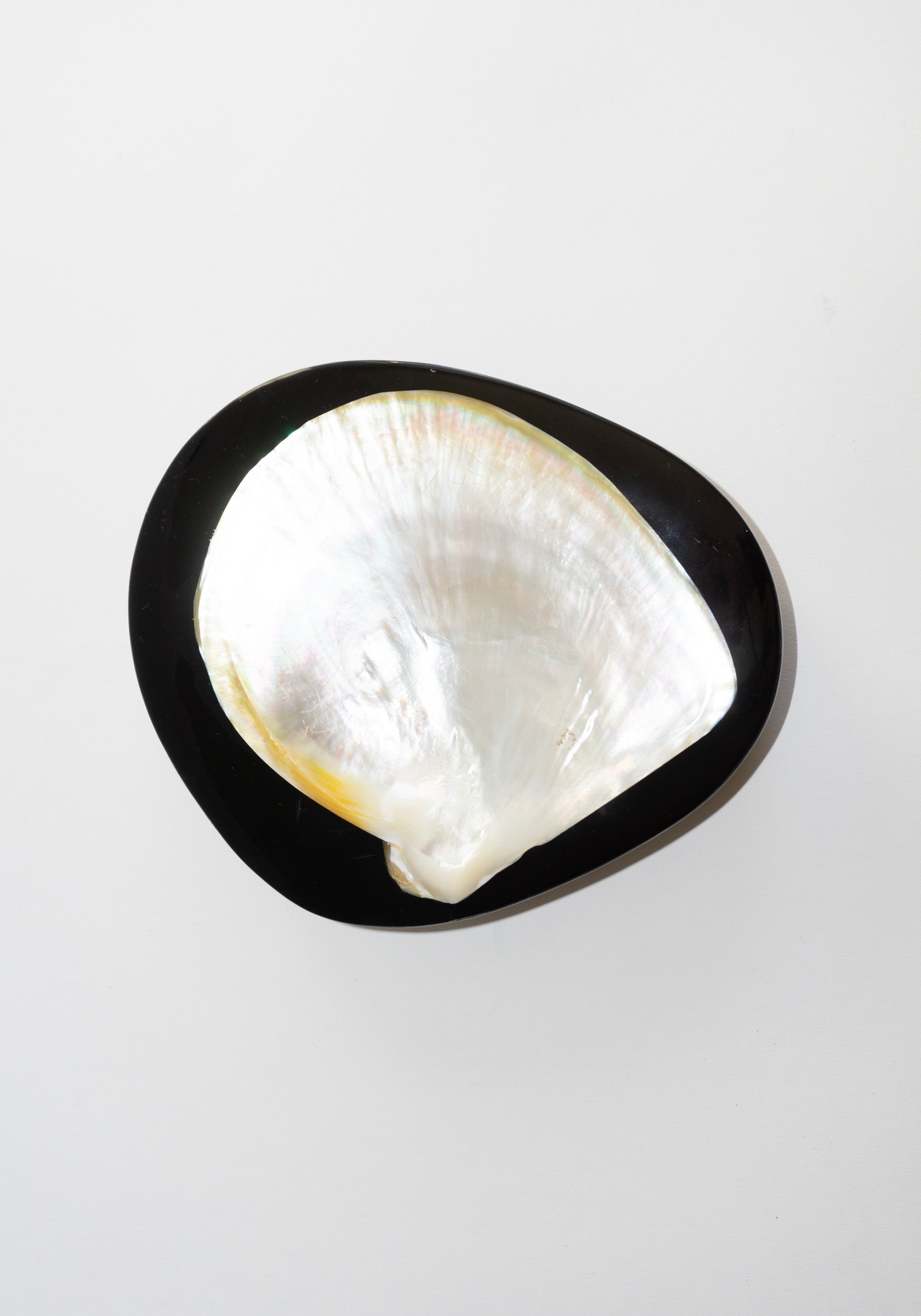 Round Shell Caviar Dish in Black