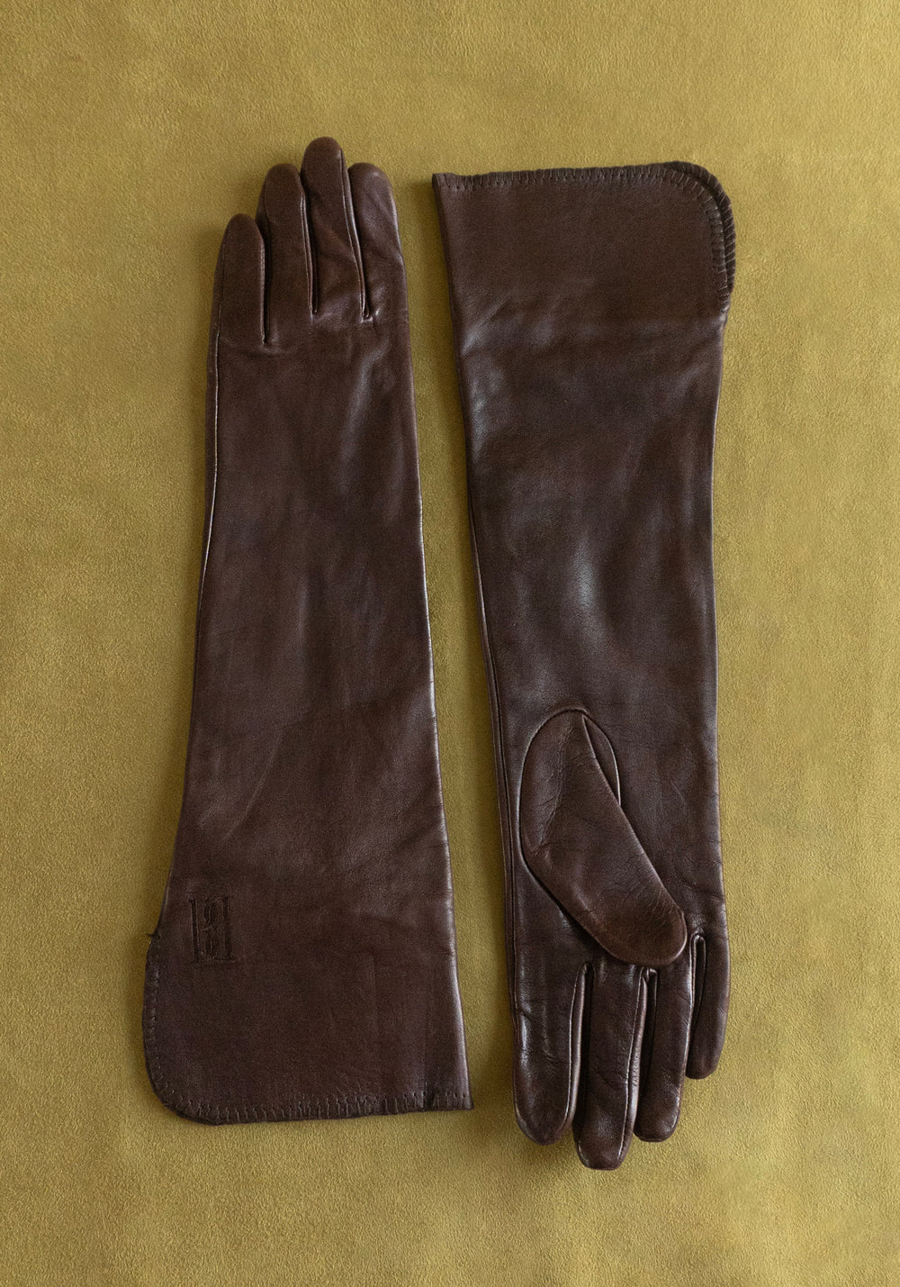 Gemmi Long Leather Gloves in Brown