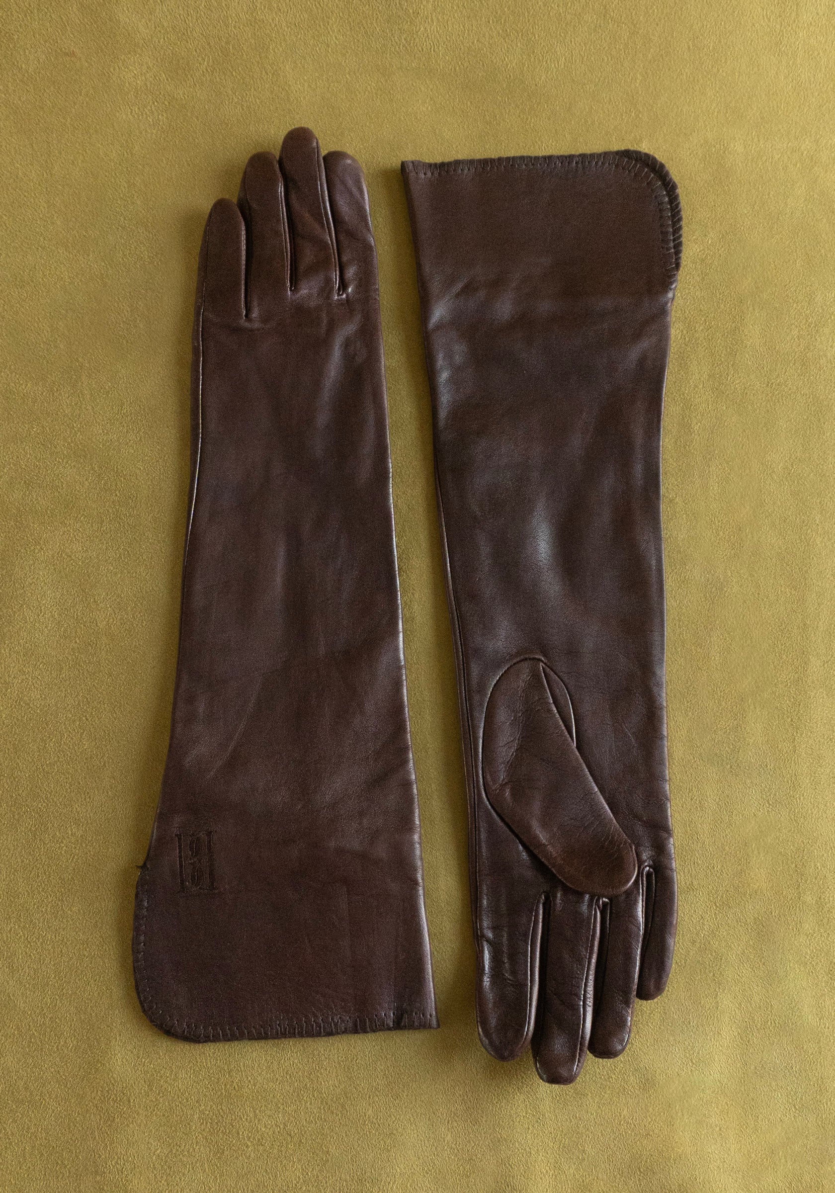 Gemmi Long Leather Gloves in Brown