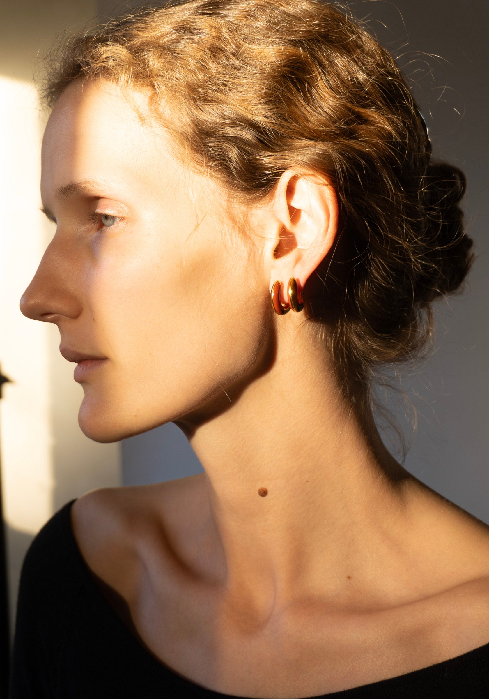 Locus Solus Earrings with Jasper and Tiger's Eye