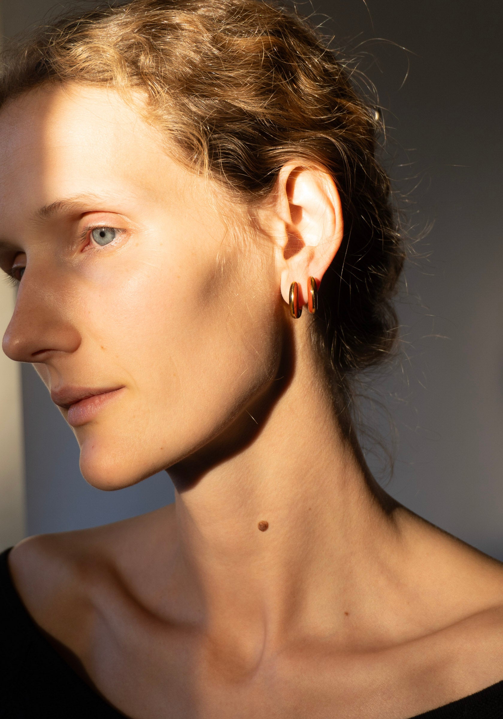 Locus Solus Earrings with Jasper and Tiger's Eye