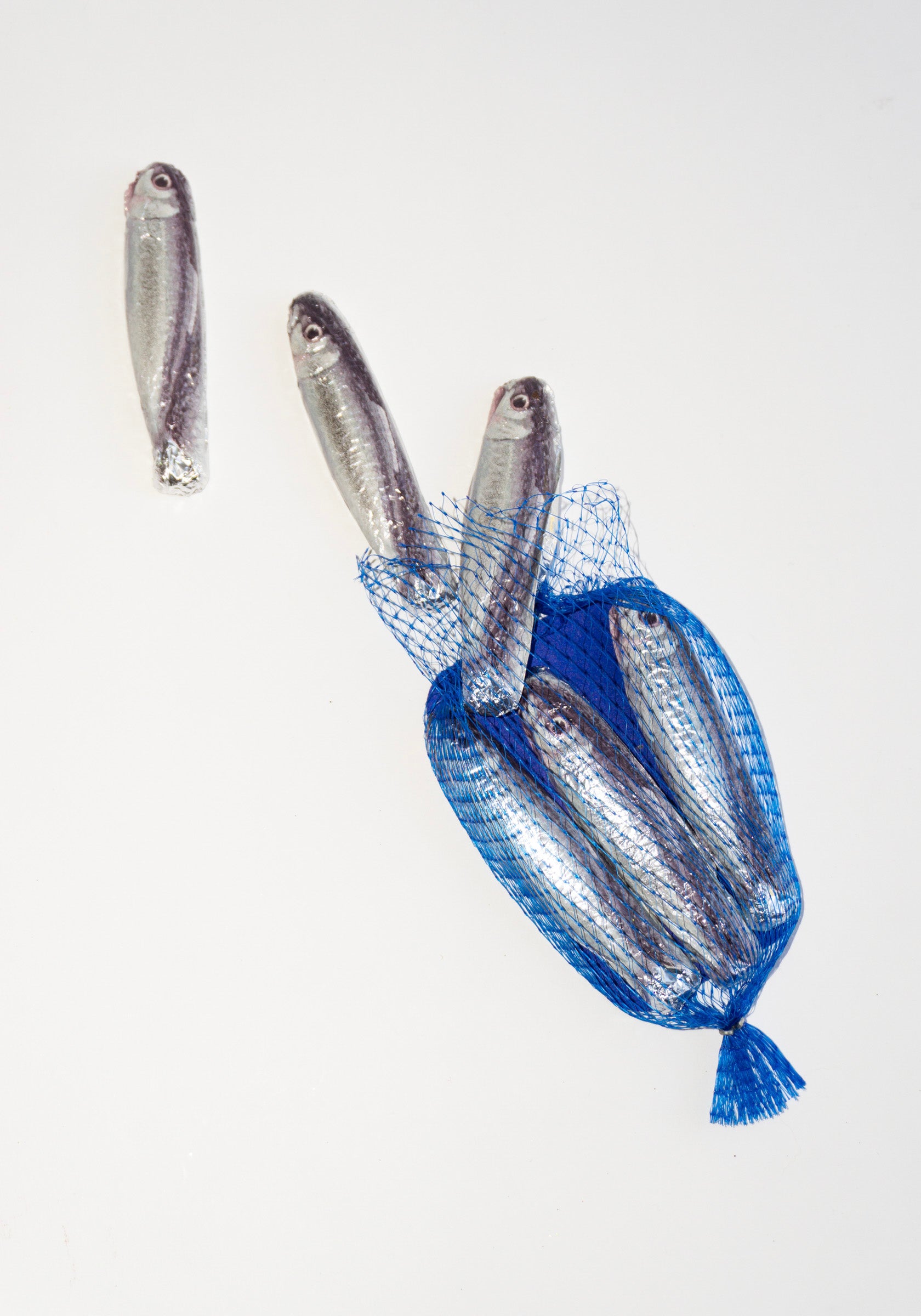 Sardine Chocolate in Blue Net