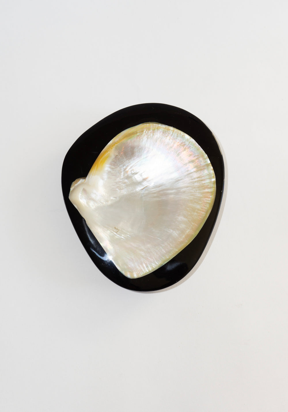 Round Shell Caviar Dish in Black