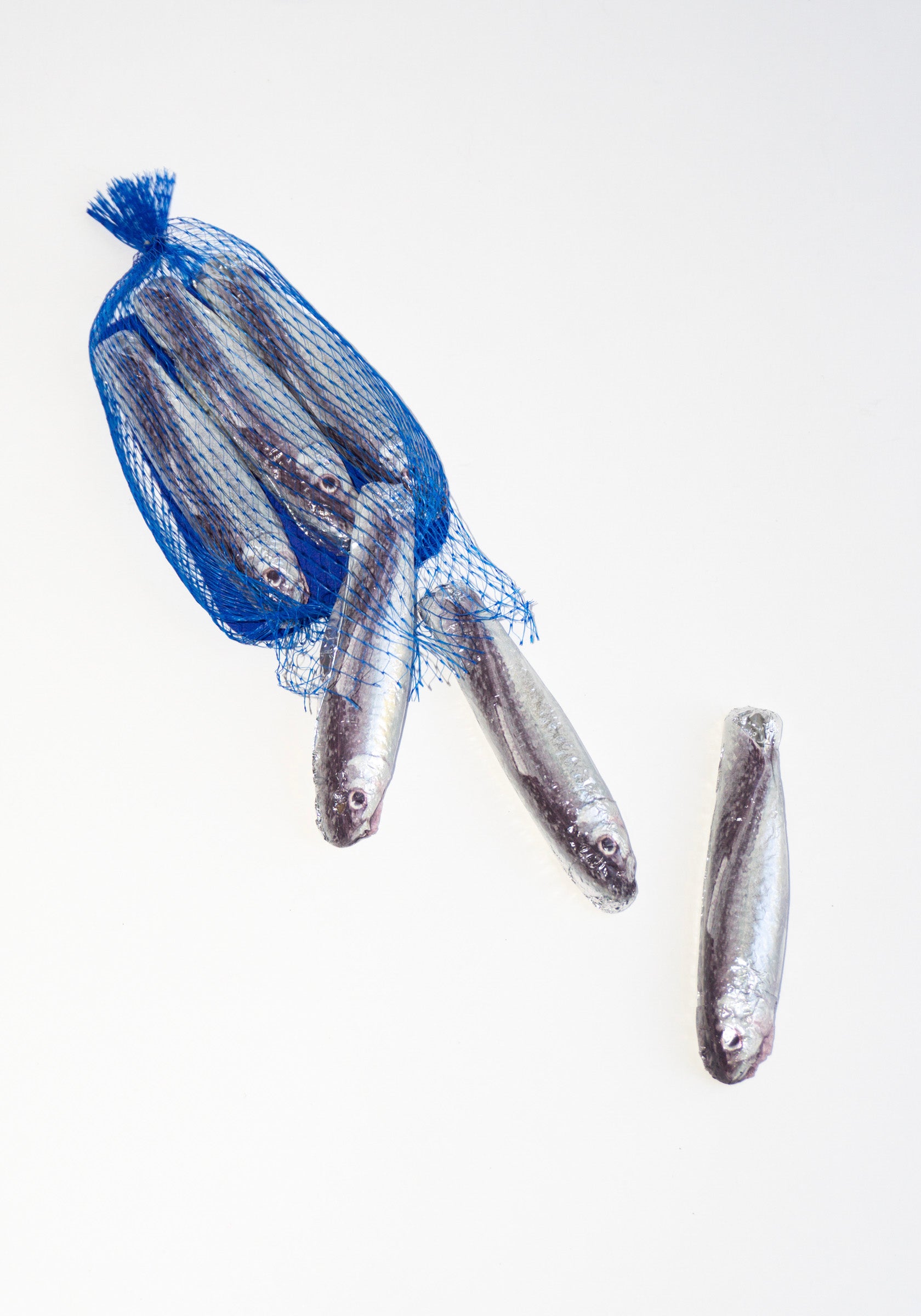 Sardine Chocolate in Blue Net