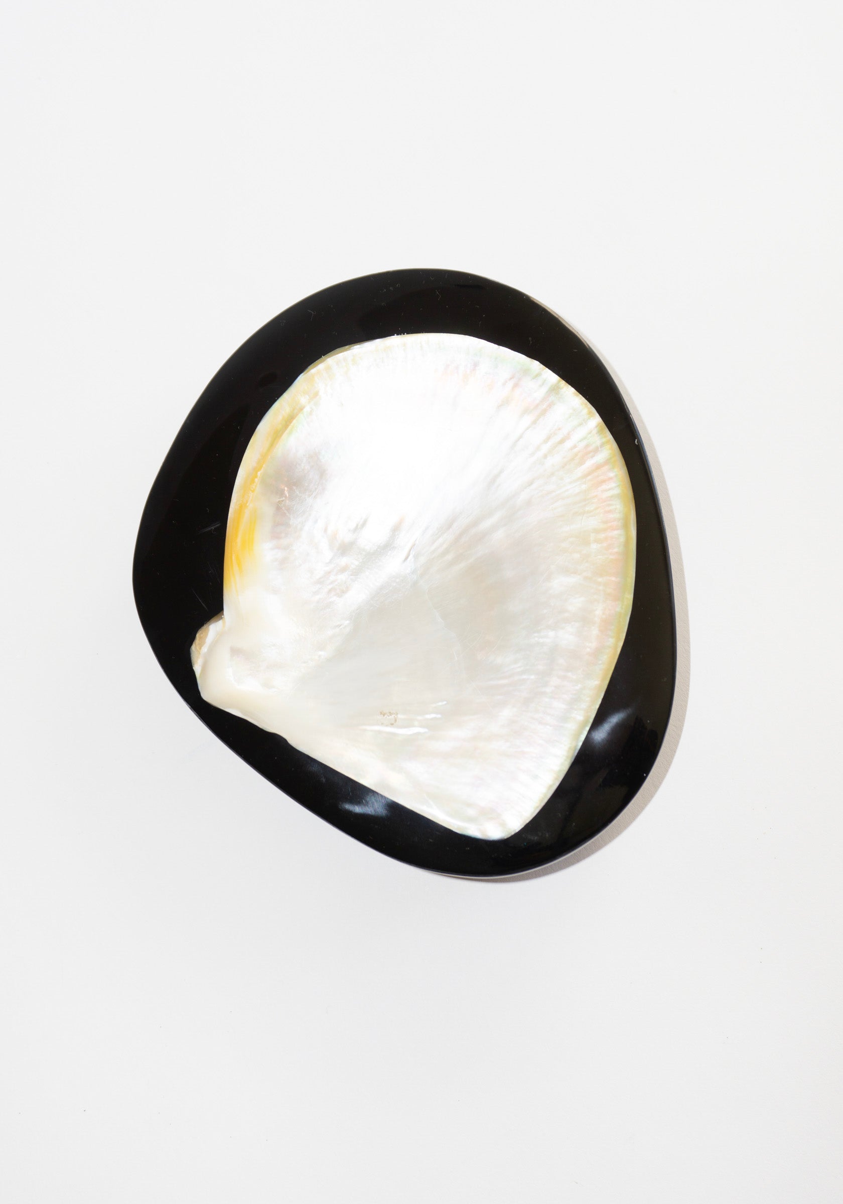 Round Shell Caviar Dish in Black