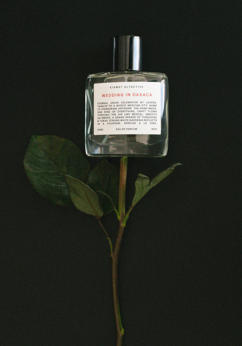 Wedding in Oaxaca Eau de Parfum