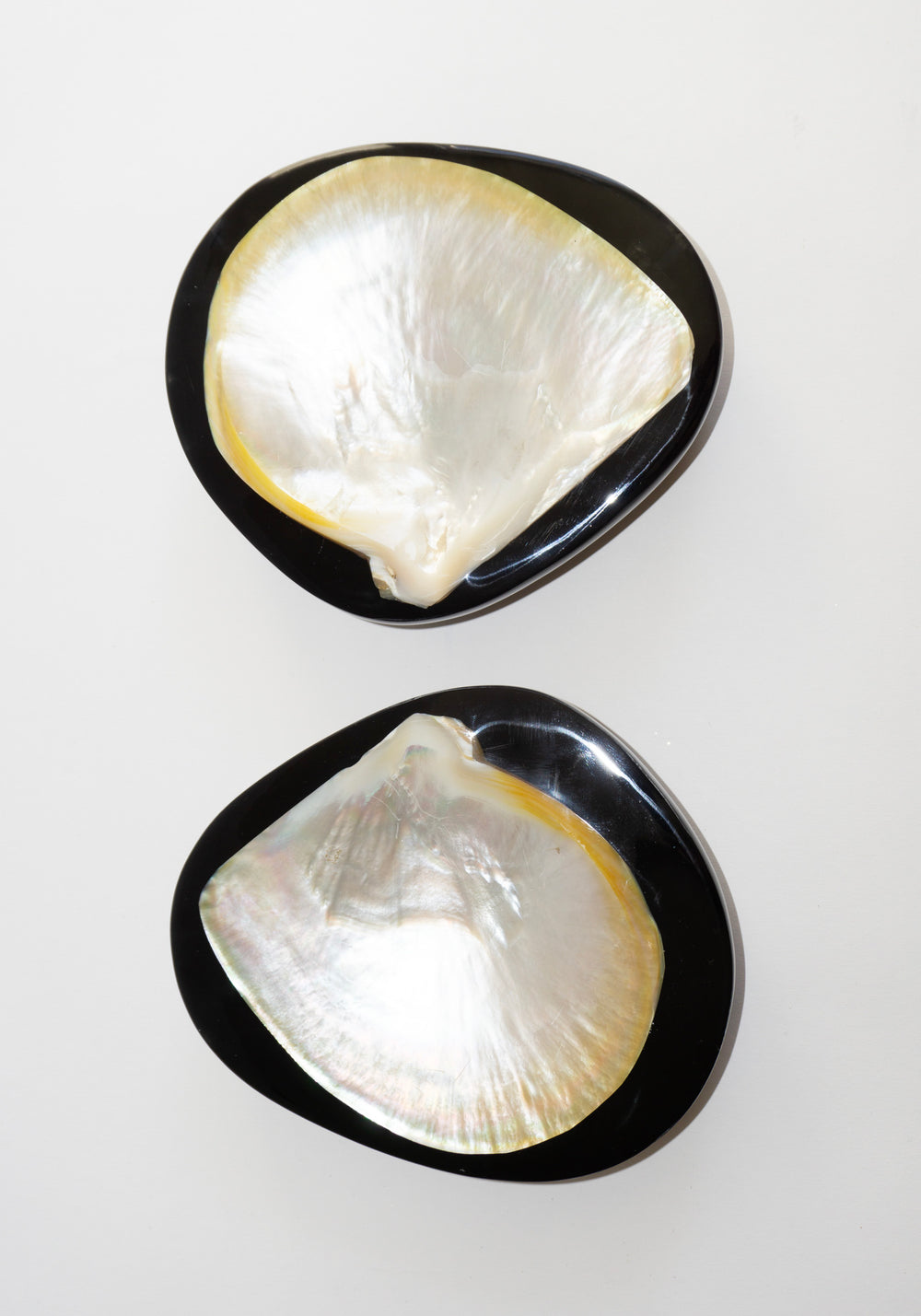 Round Shell Caviar Dish in Black