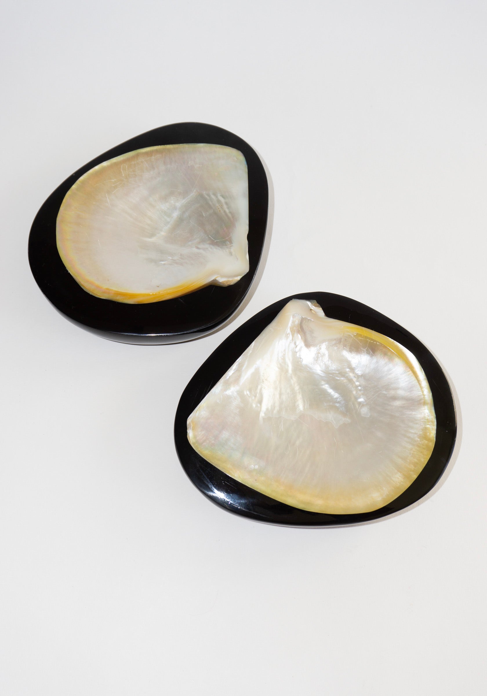 Round Shell Caviar Dish in Black