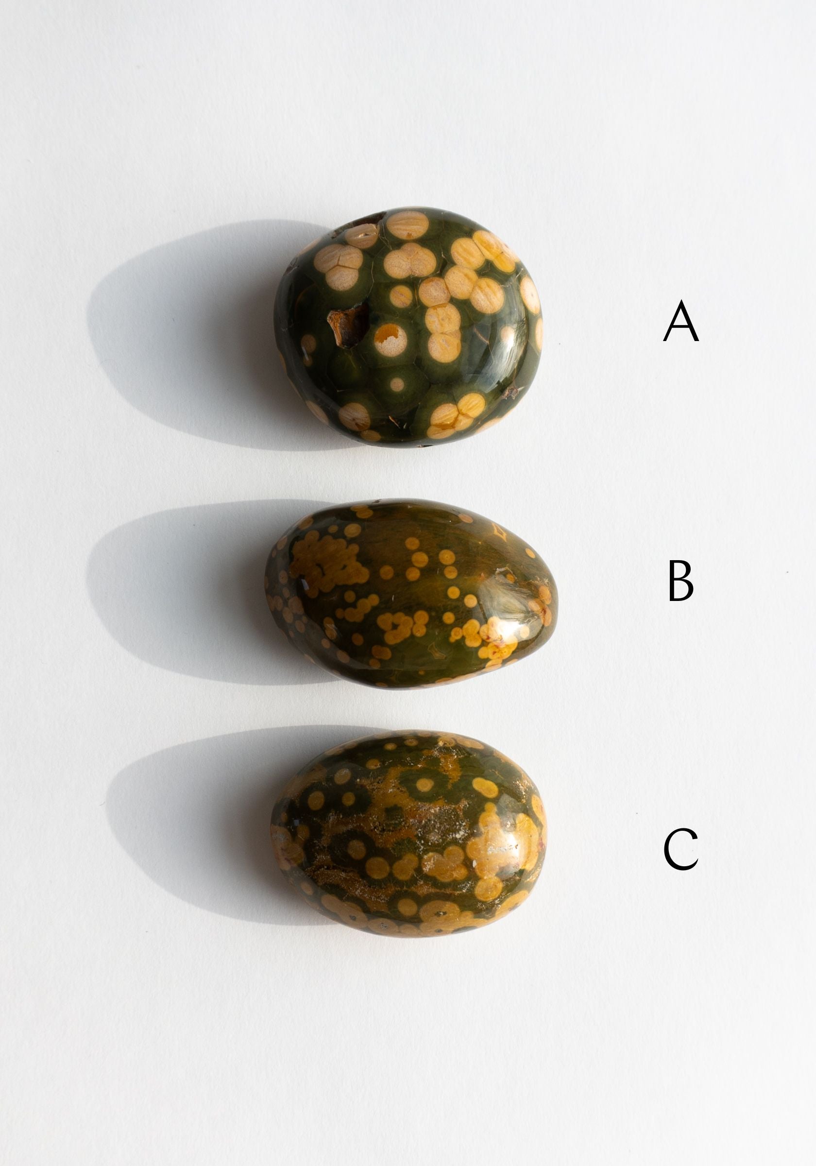 Rhyolite Palm Stones