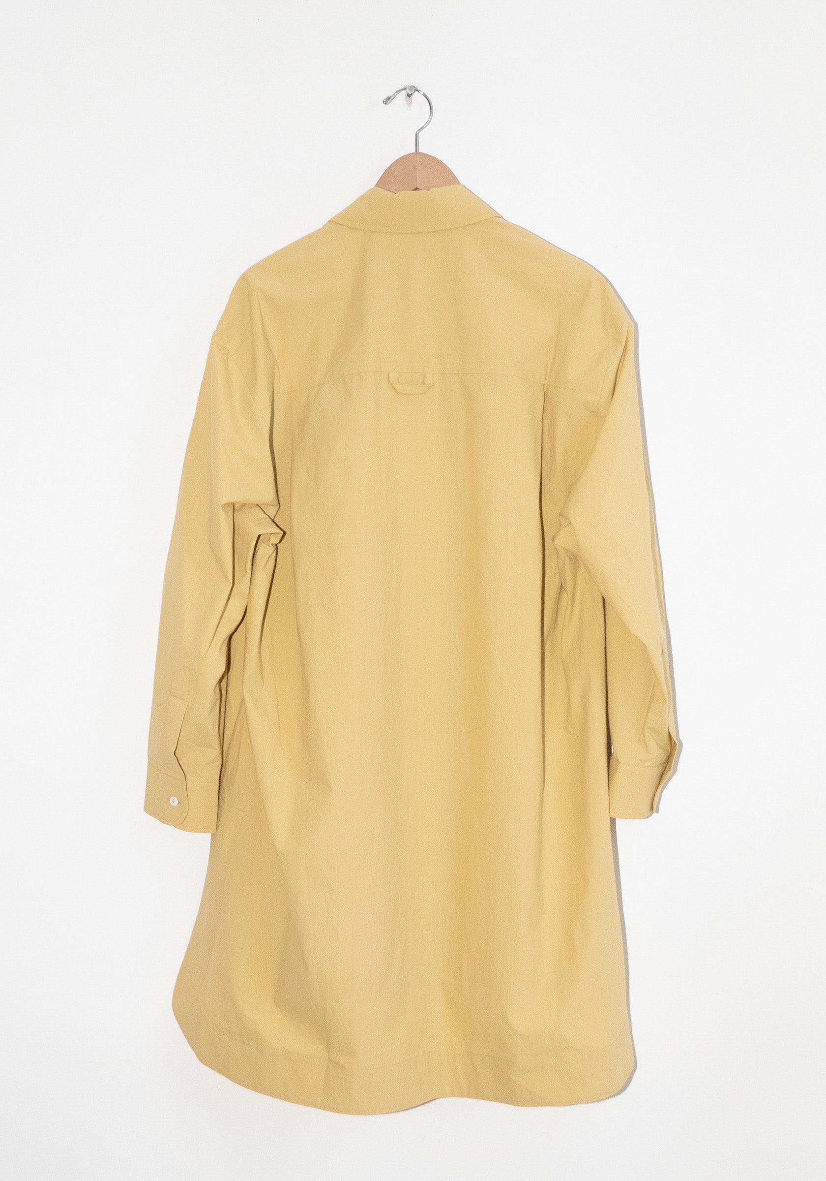 Cotton Big Shirt in Celery