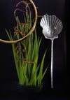 Shelton Metal Shell Serving Spoon in Silver