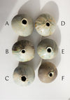 Mondays Ceramics Mini Moon Vases in Soda-Fired Porcelain