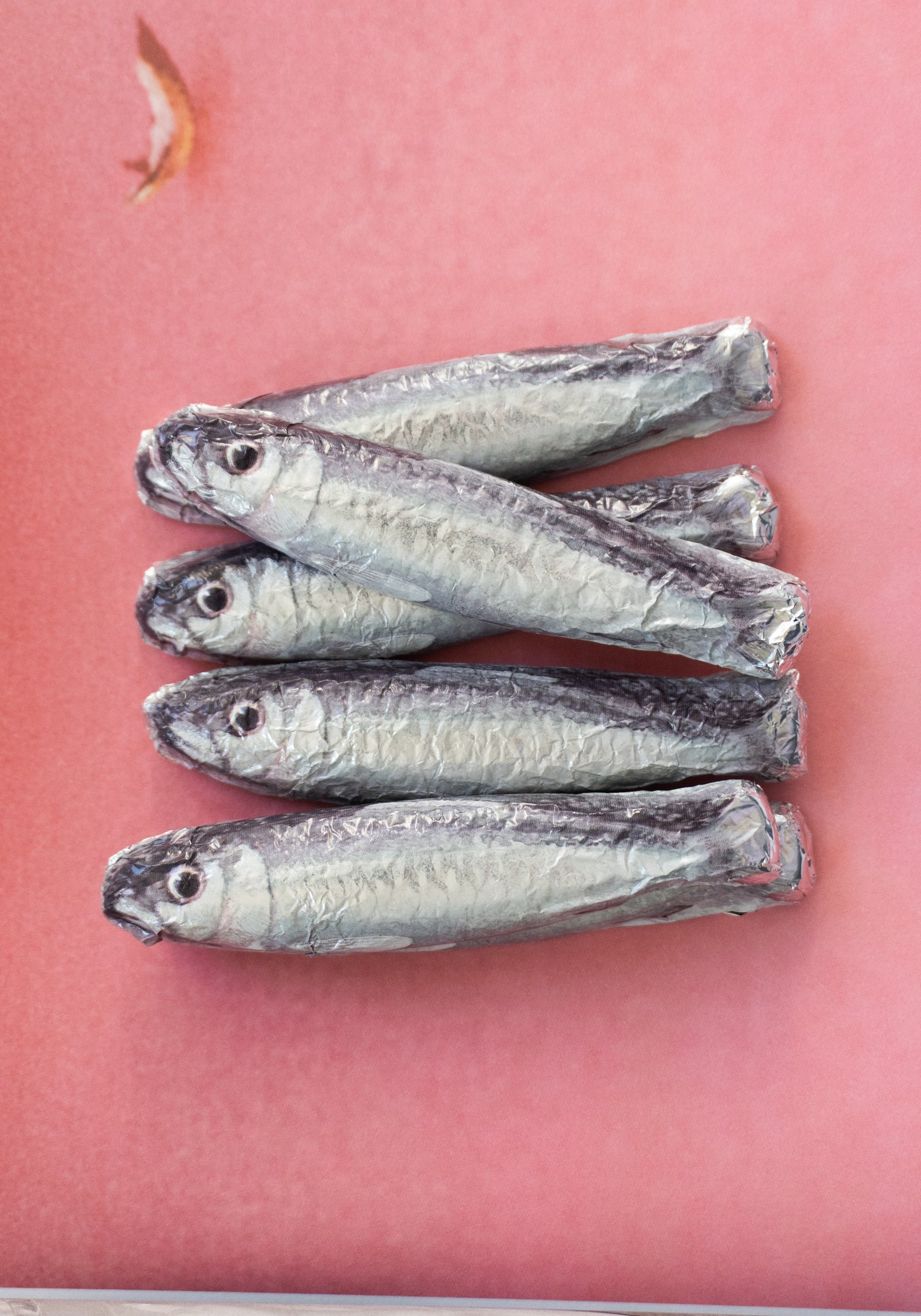 Michel Cluizel Sardine Chocolate in Blue Net