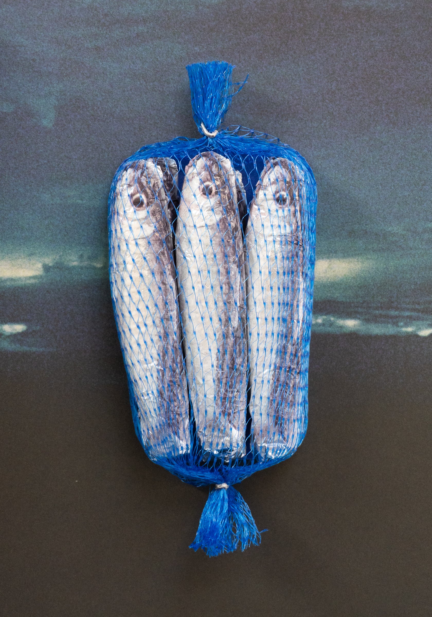 Michel Cluizel Sardine Chocolate in Blue Net