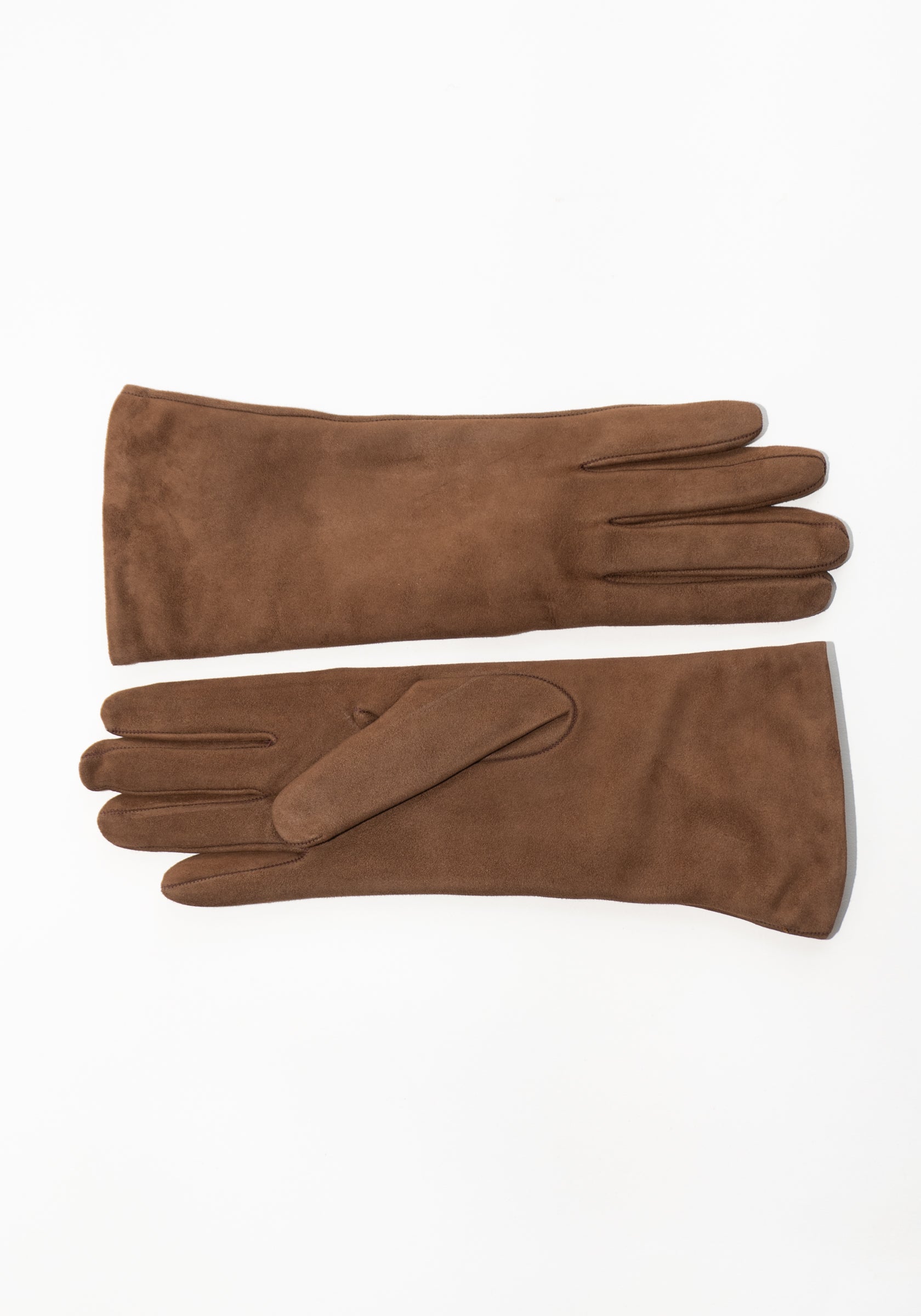 Clyde Suede Gloves in Fawn