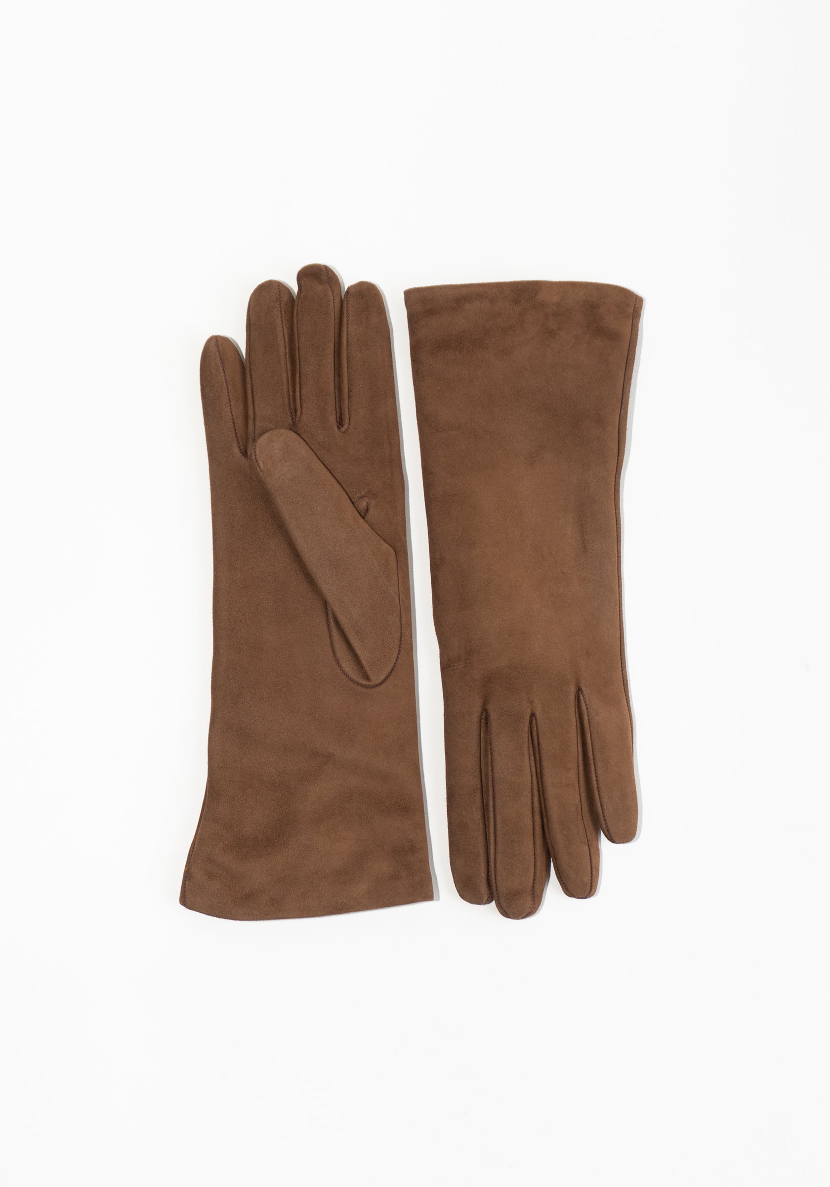 Clyde Suede Gloves in Fawn