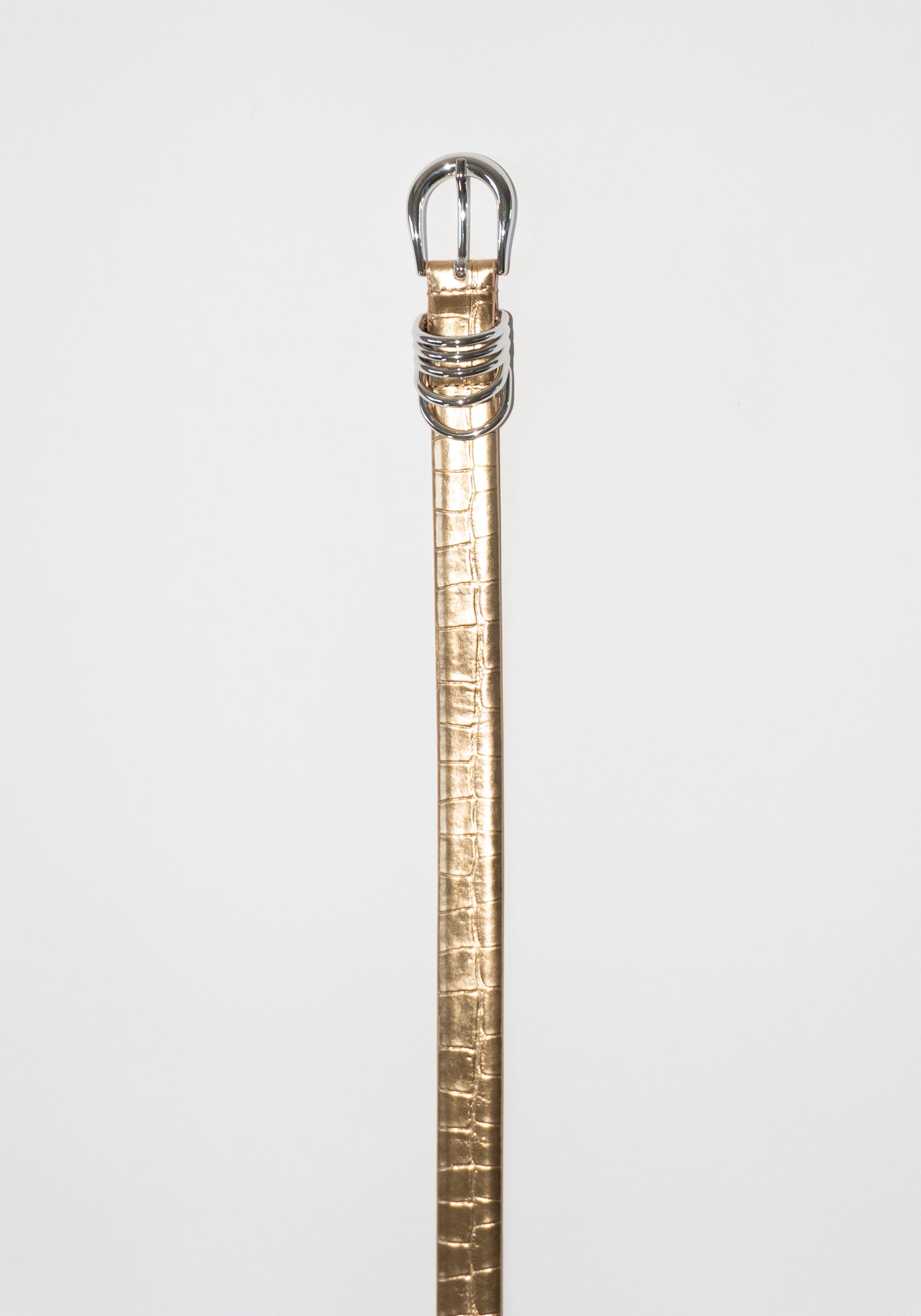 Dehanche Hollyhock Mirror Croc Belt in Gold with Silver