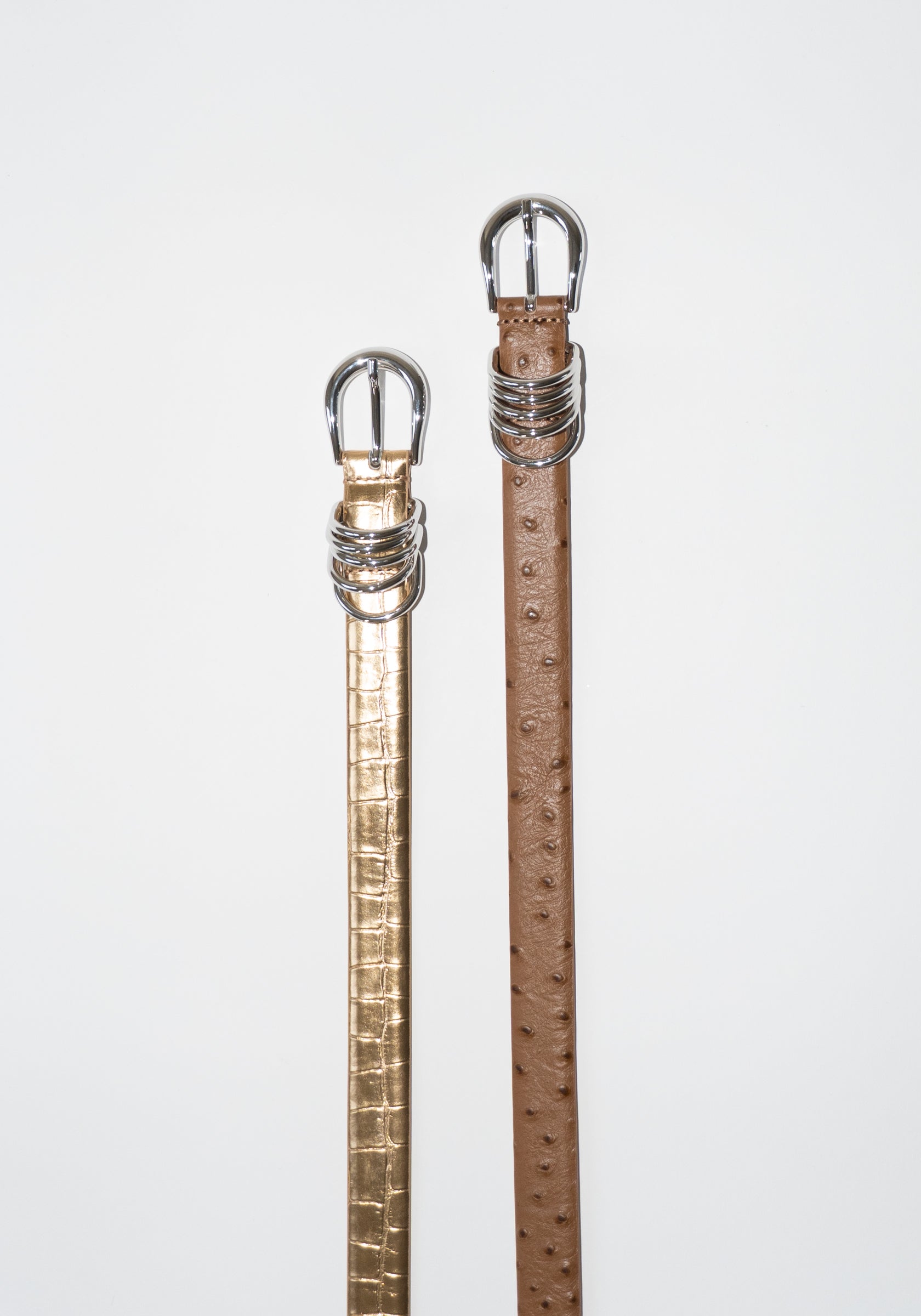 Dehanche Hollyhock Mirror Croc Belt in Gold with Silver