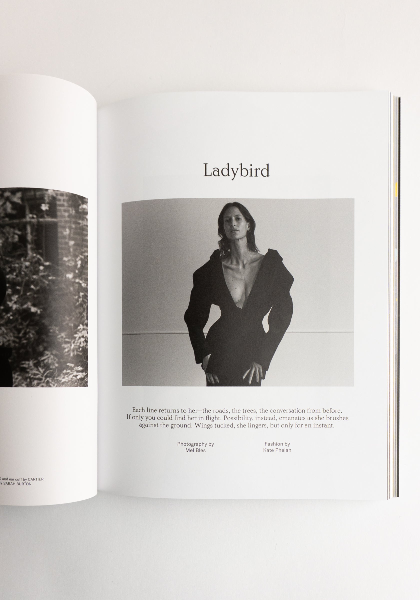 Family Style Magazine No. 8 Winter 2025 "Warmer"