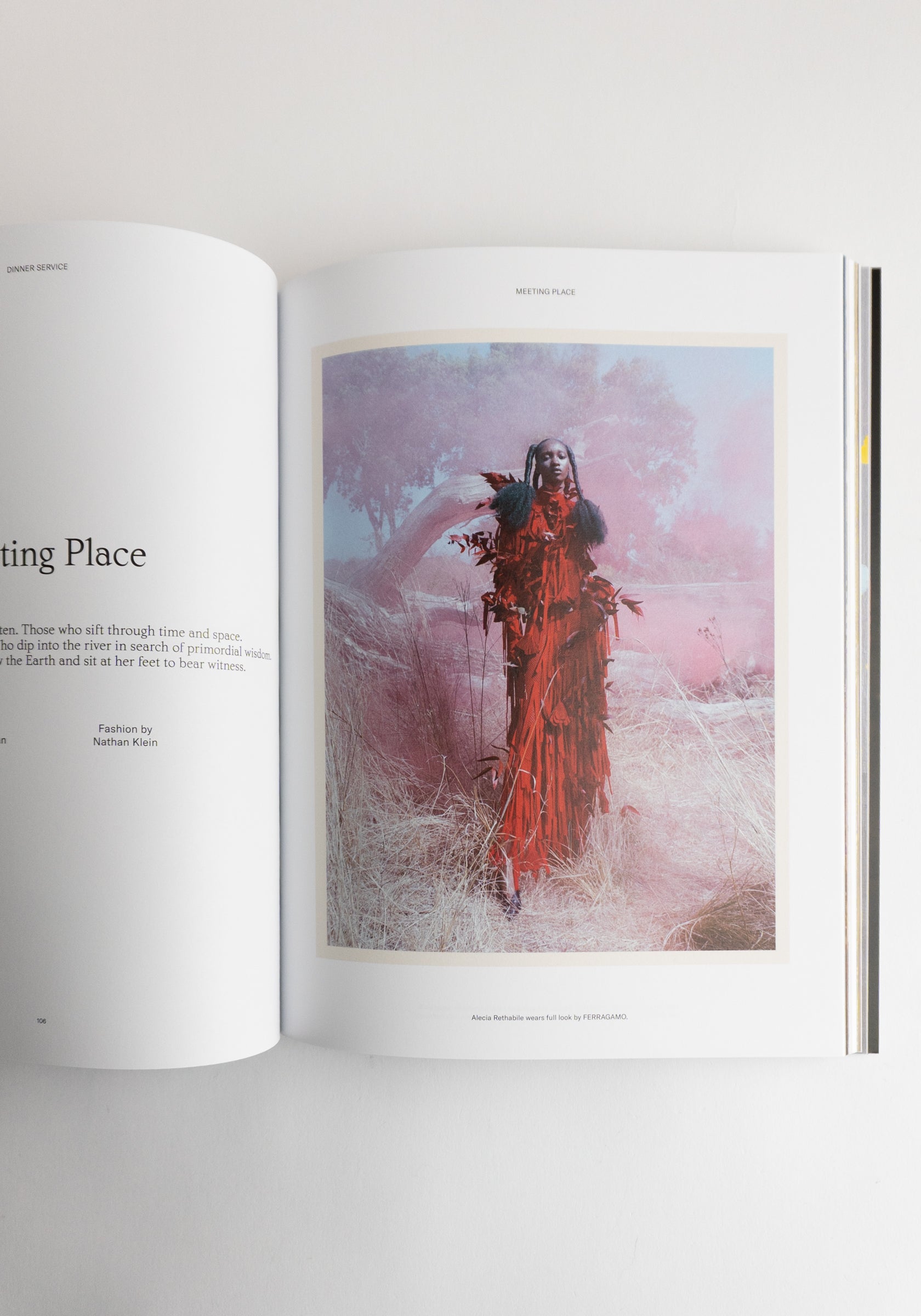 Family Style Magazine No. 8 Winter 2025 "Warmer"