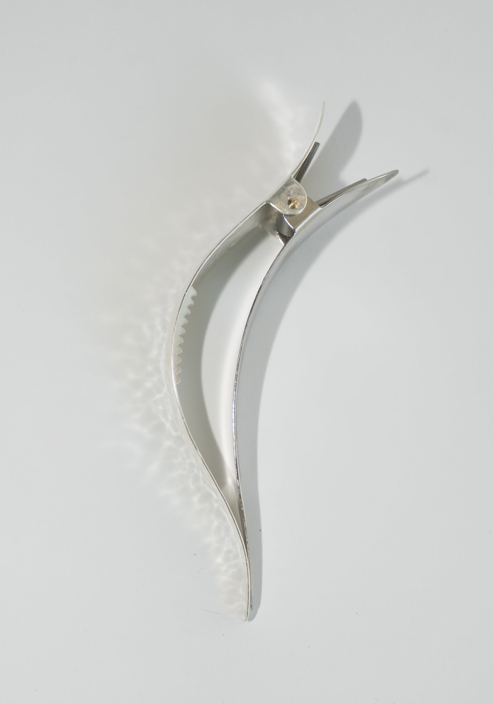 Ficcare Maximas Large Leave in Silver