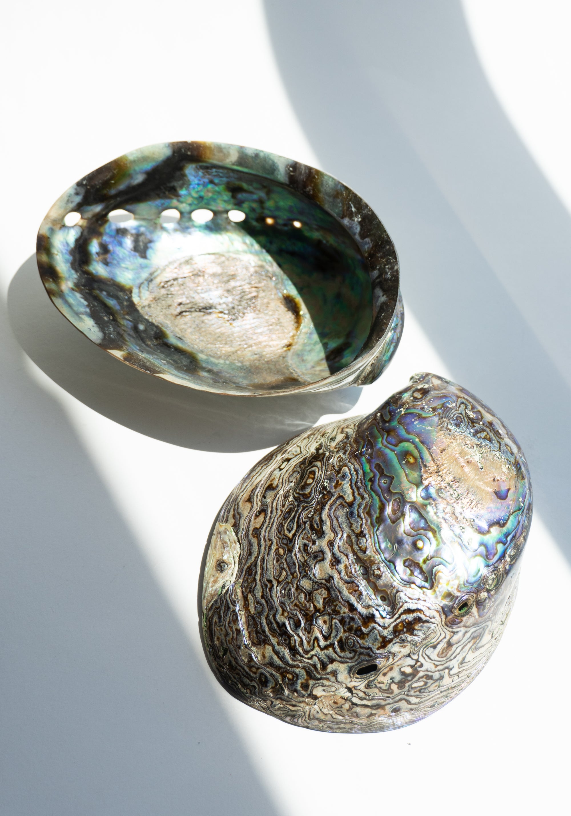 Abalone Dishes