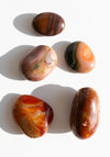 Assorted Red Palm Stones