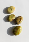 Green Jasper Palm Stones