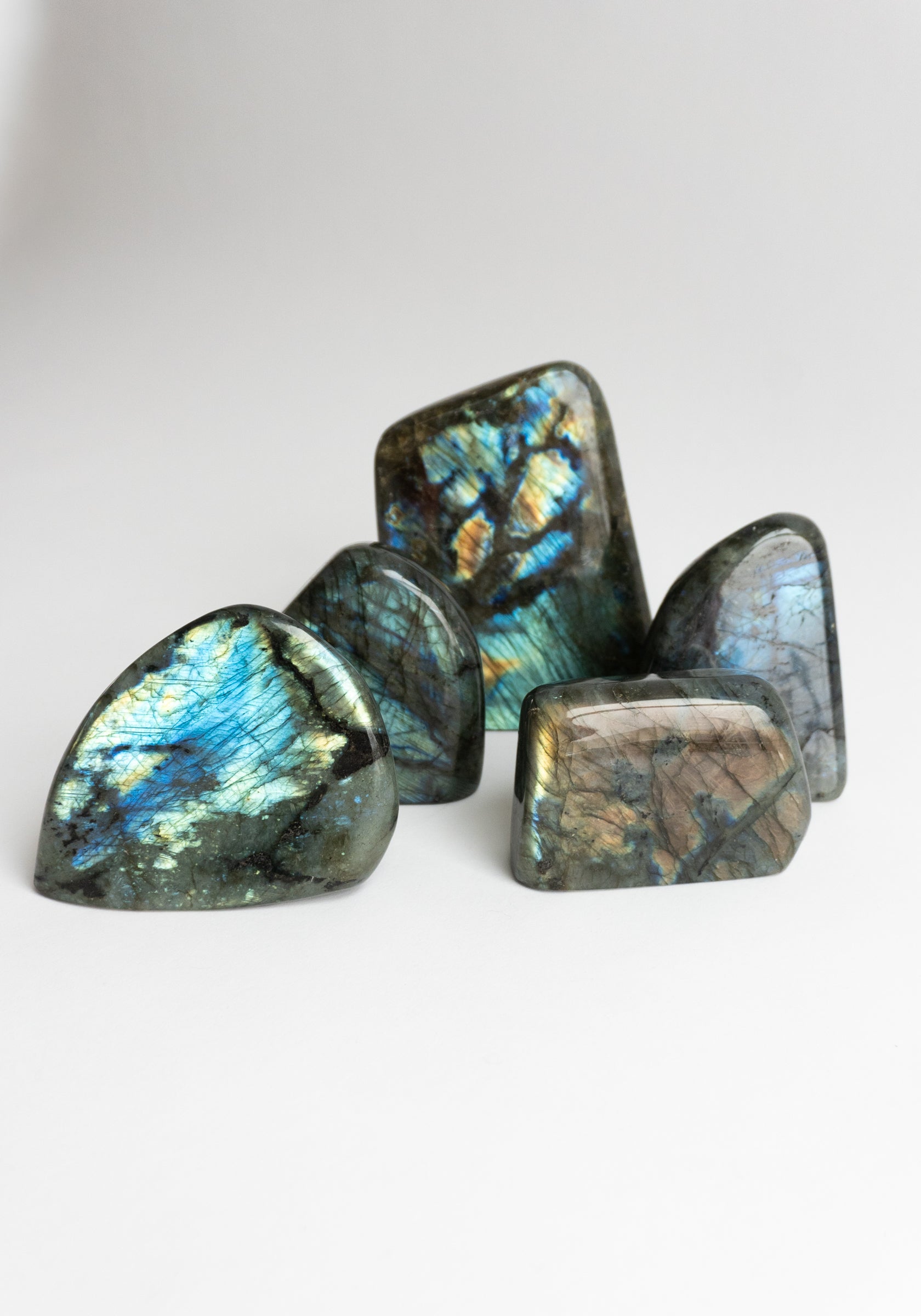 Assorted Labradorite Freeforms