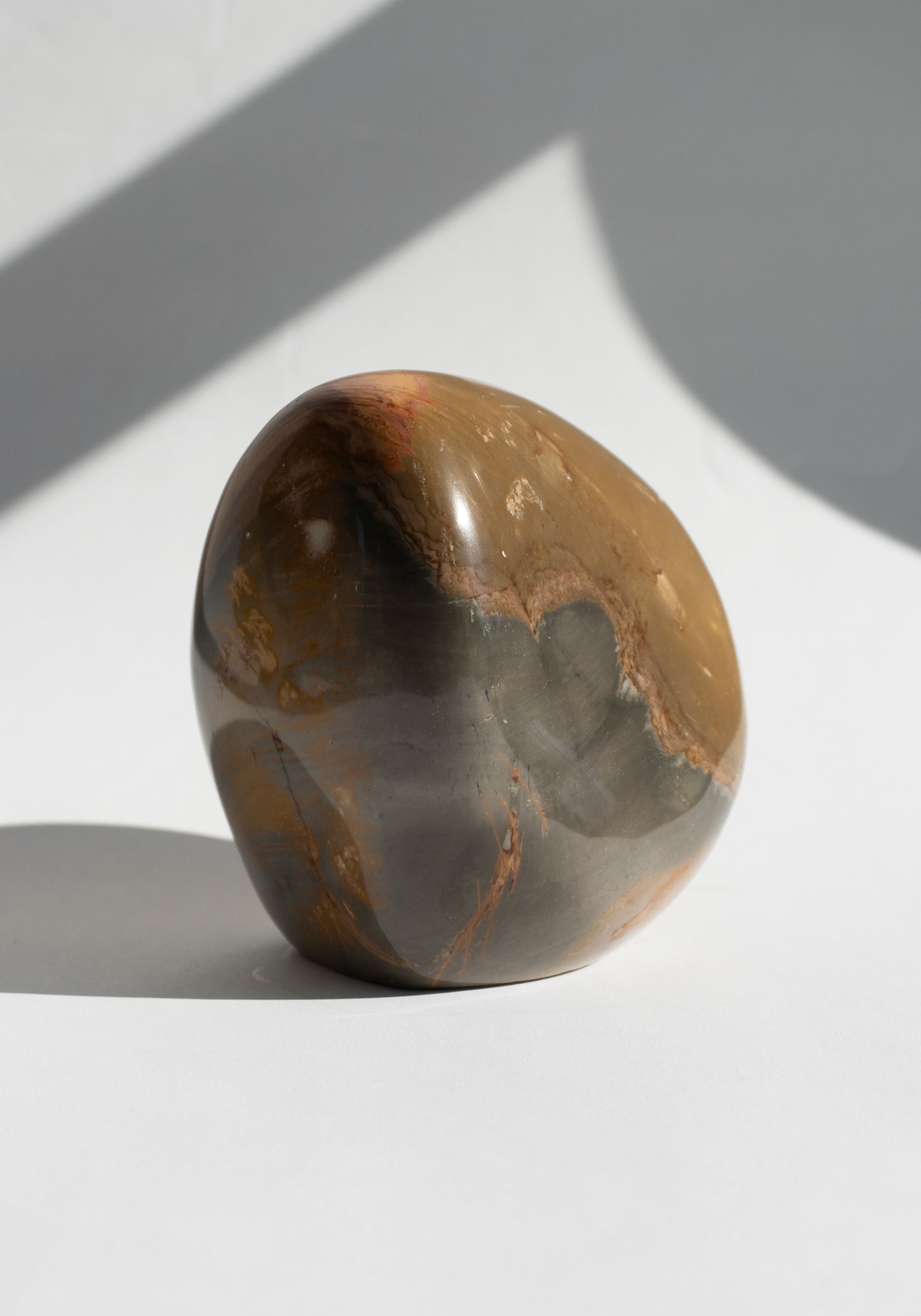 Large Red Picasso Jasper Specimen