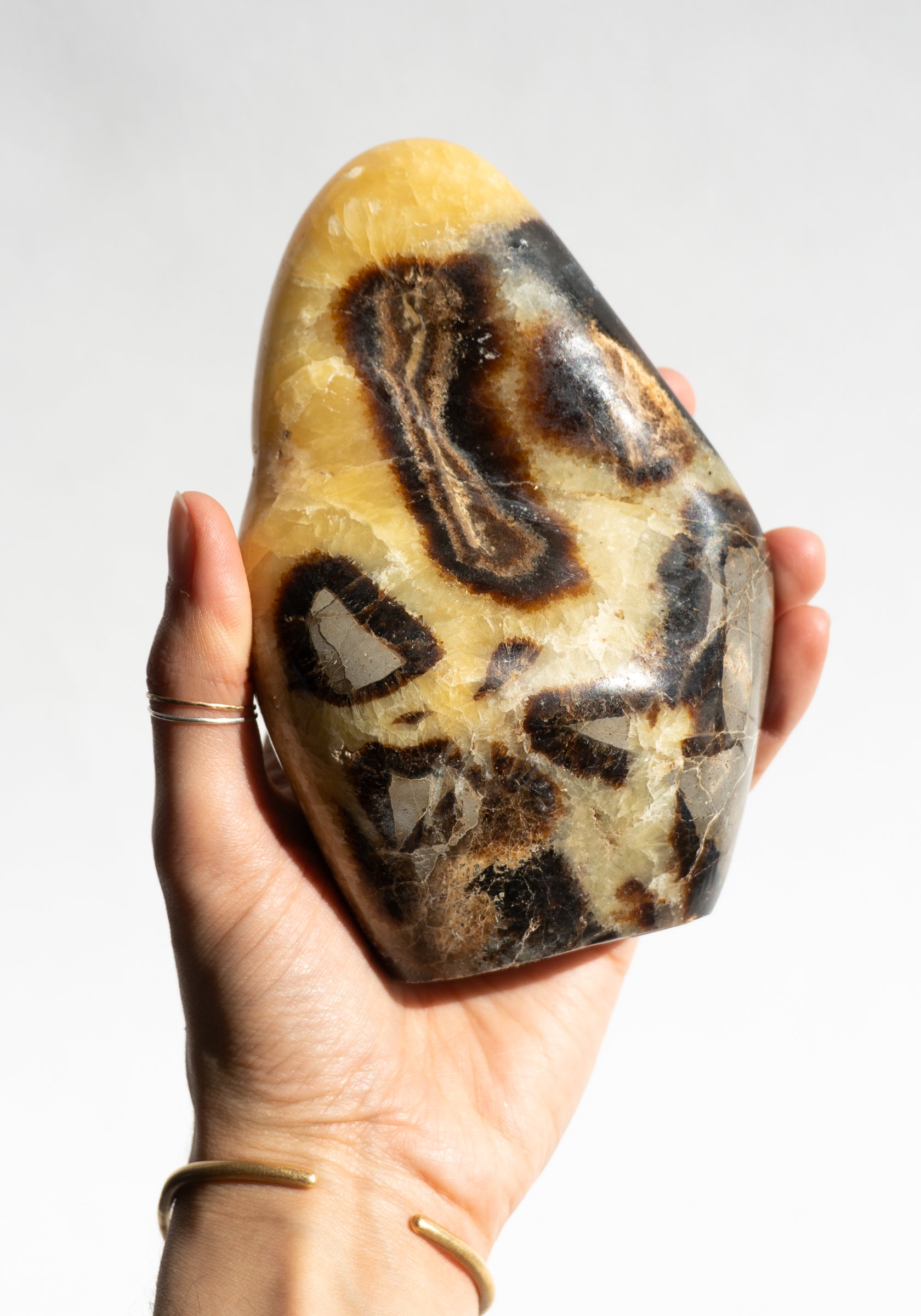 Polished Dragon Jasper Freeform