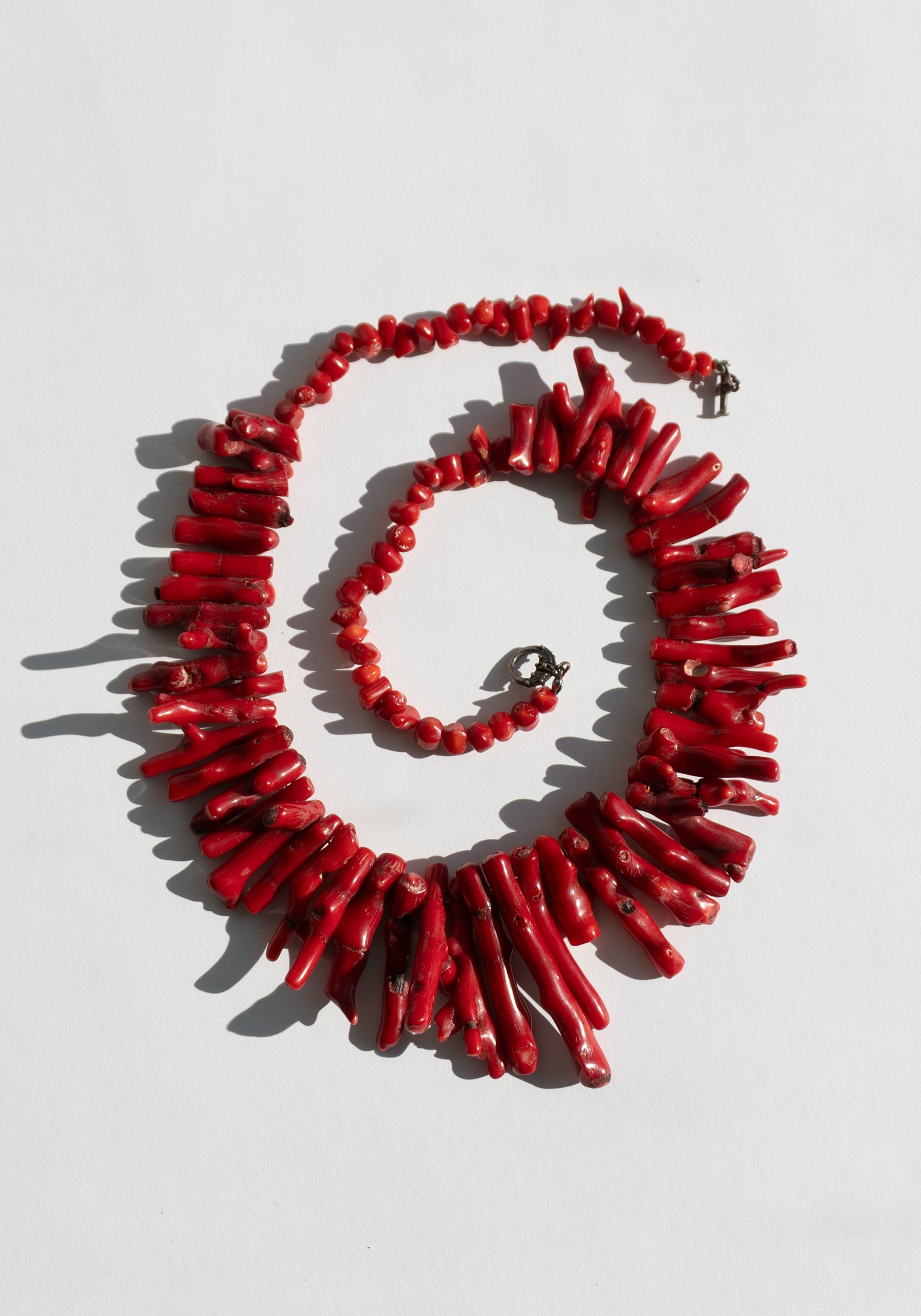 Red Branch Shell Necklace