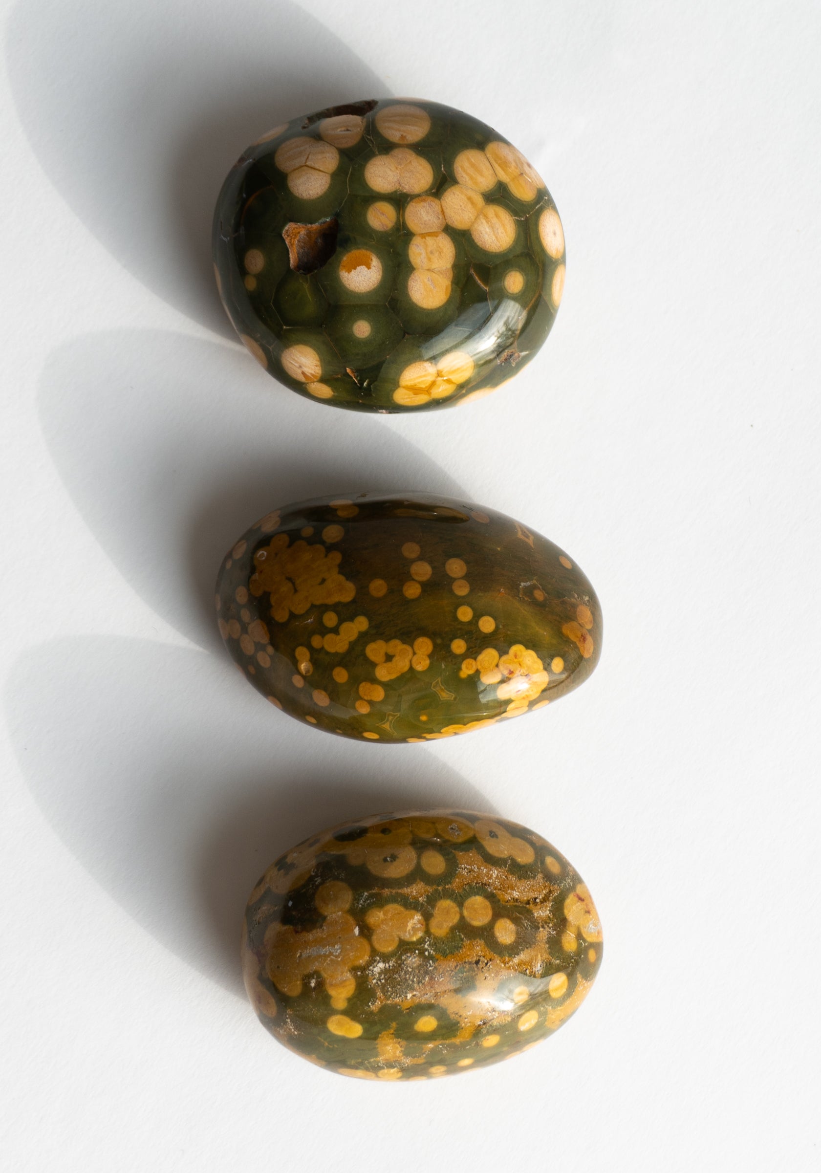 Rhyolite Palm Stones