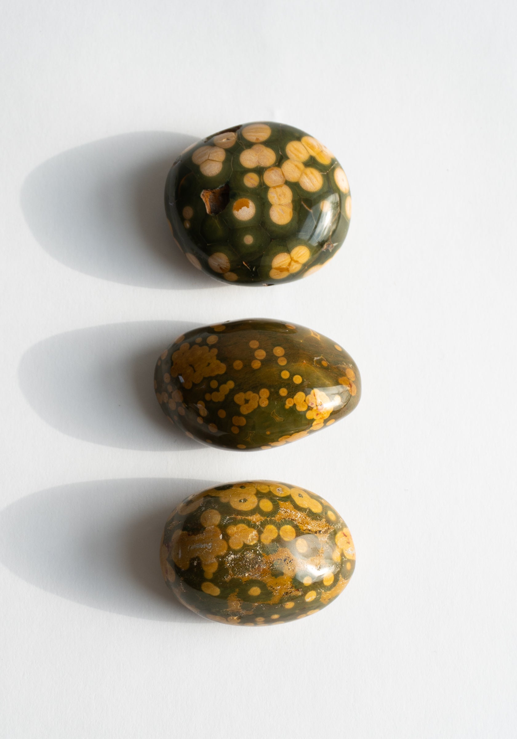 Rhyolite Palm Stones