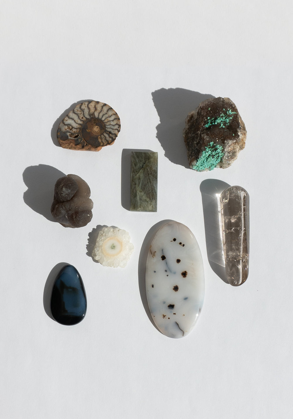 Specimen Bundle No. 3