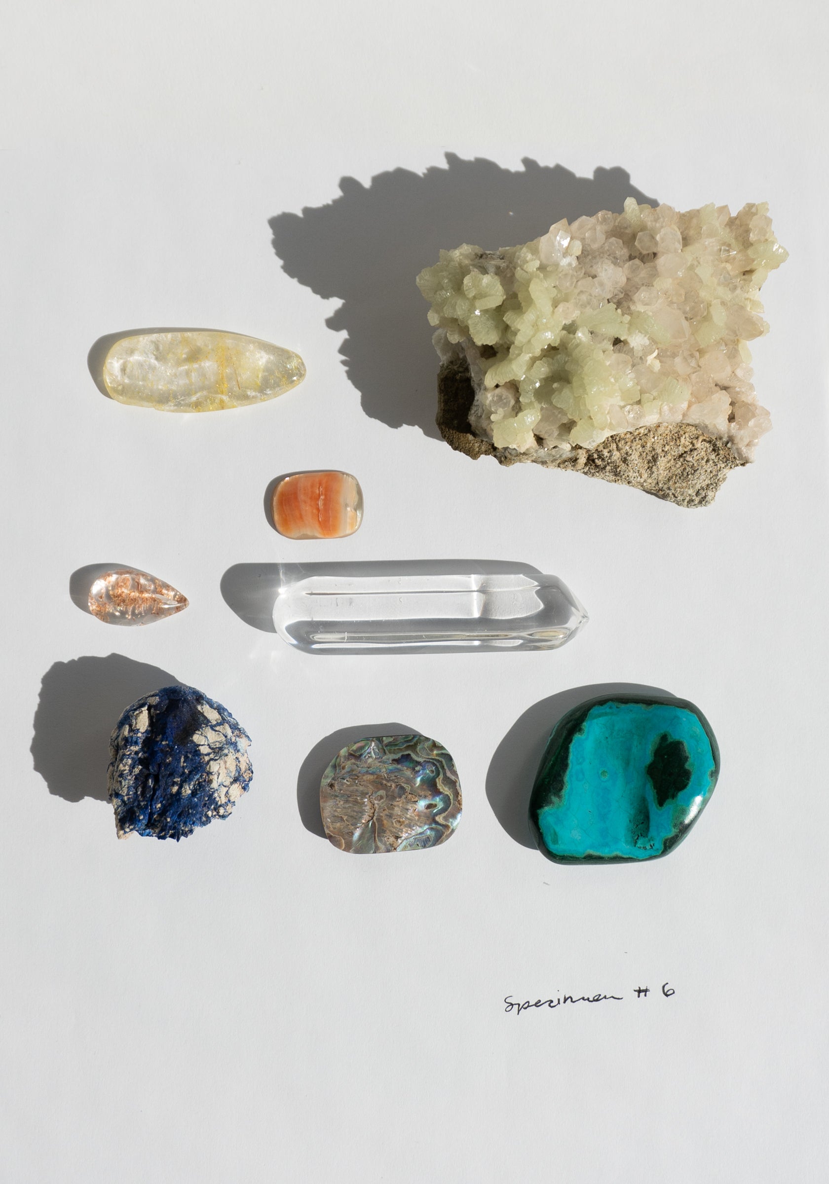 Specimen Bundle No. 6