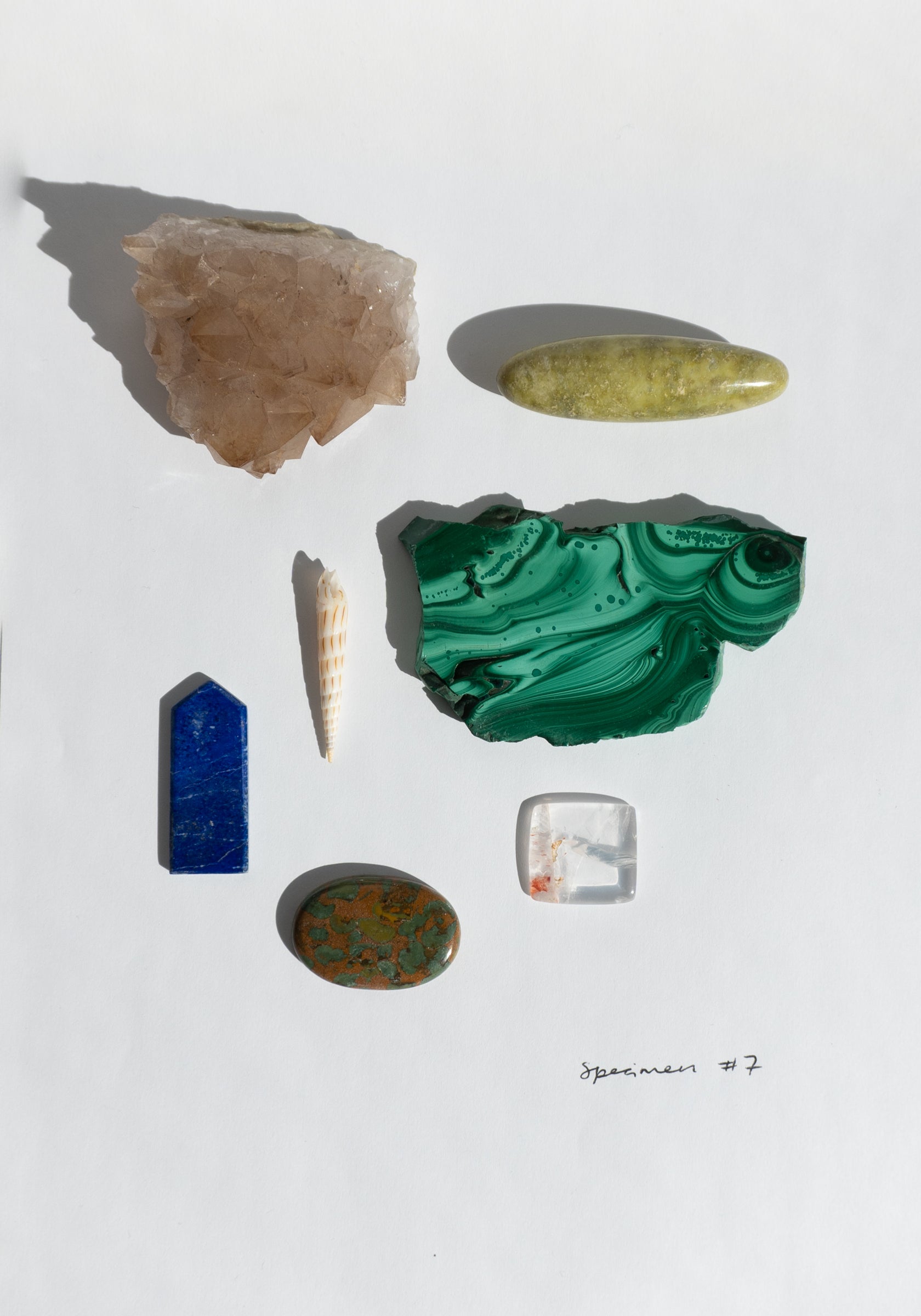 Specimen Bundle No. 7