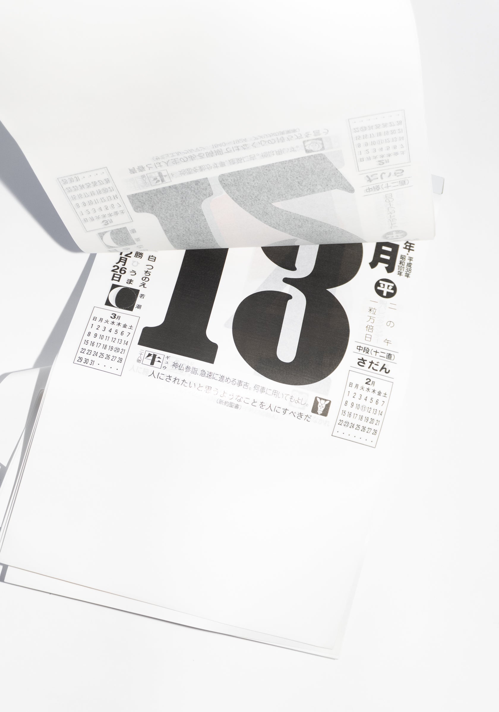 Medium Japanese Daily Calendar #10 2026 Edition