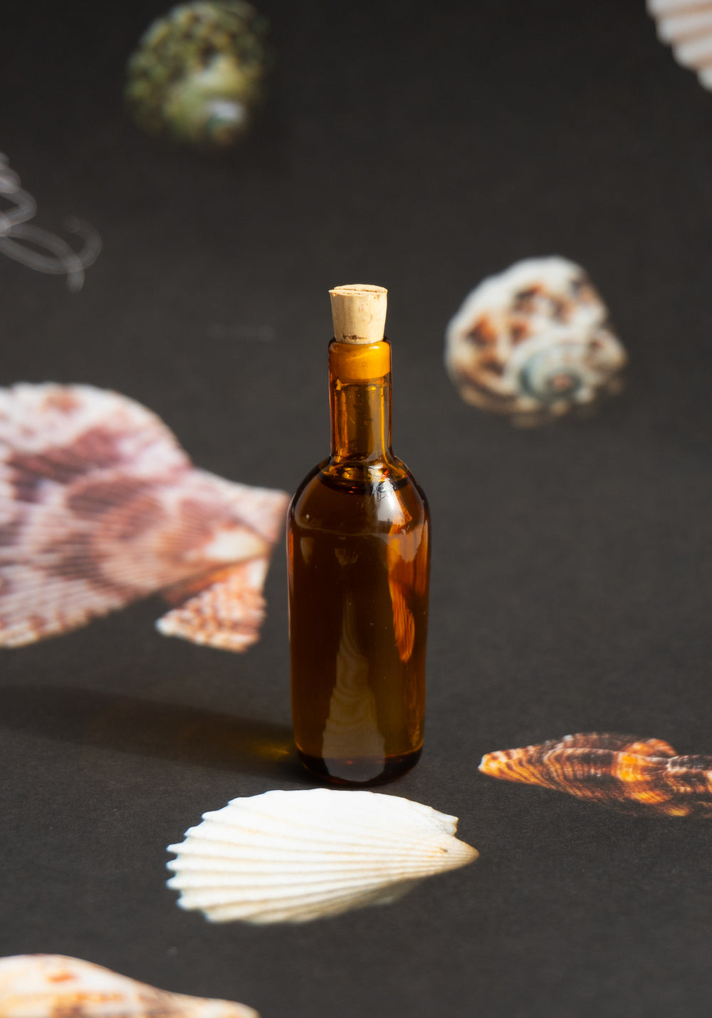 Kindred Black Holy Wood Oil