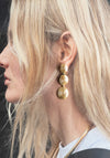 The Ruby Earrings in Gold