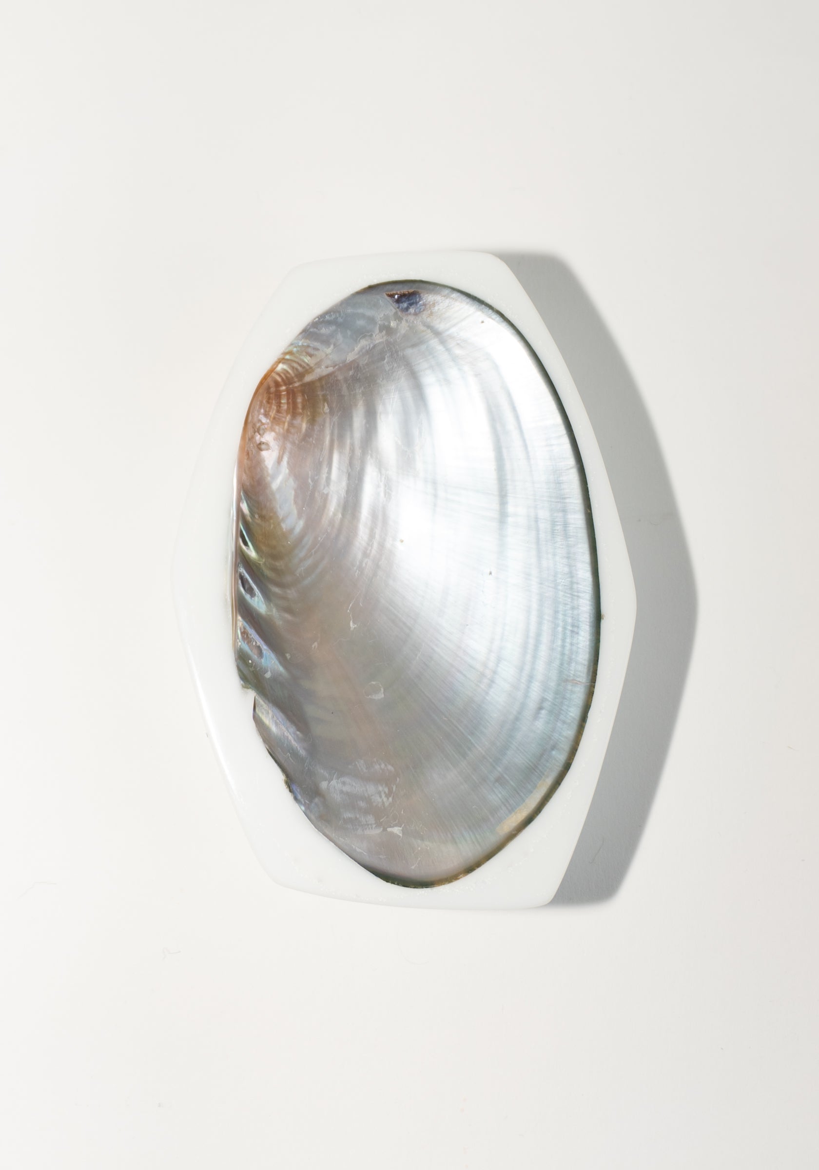 Small Shell Caviar Dish