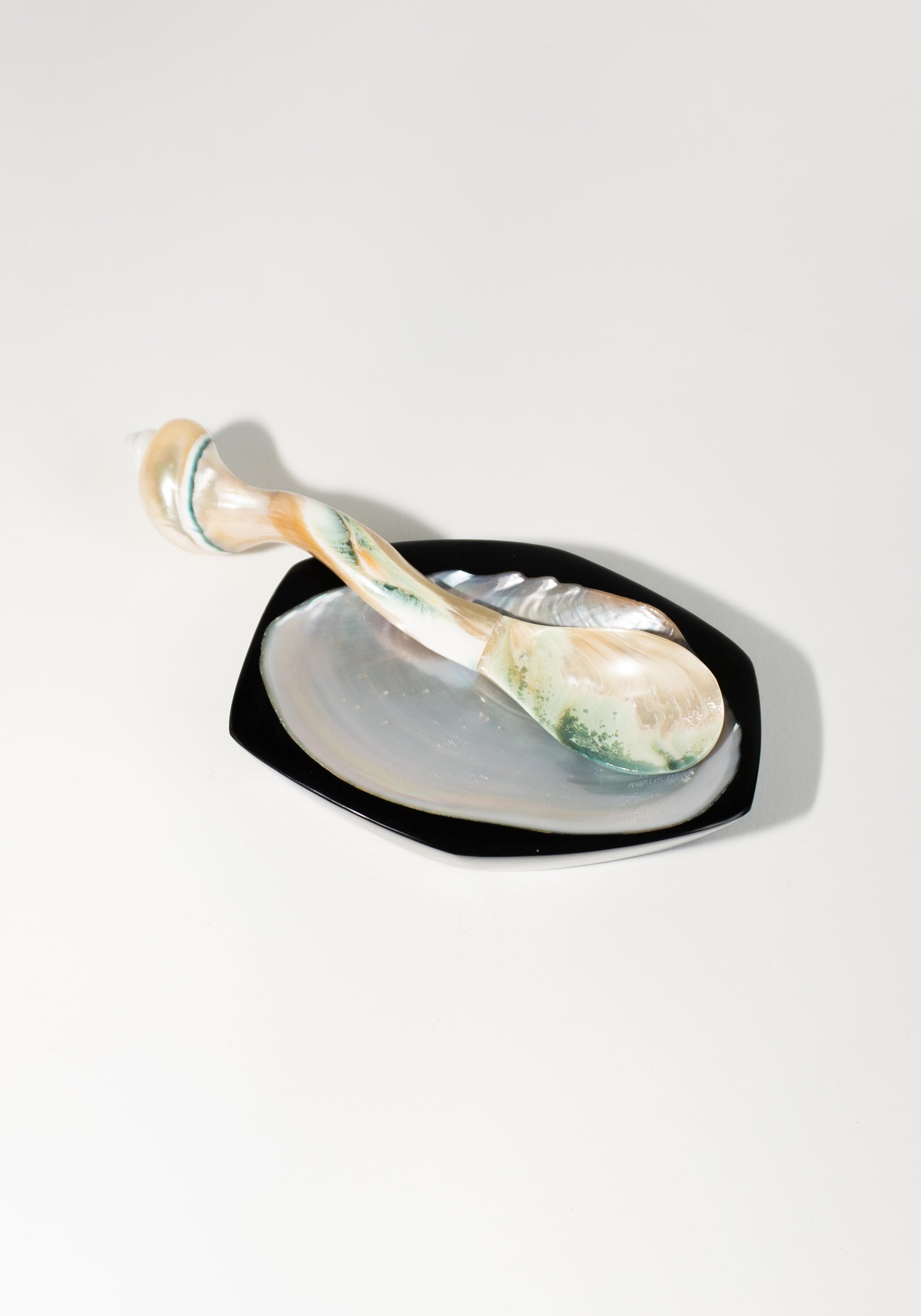 Large Shell Caviar Spoon