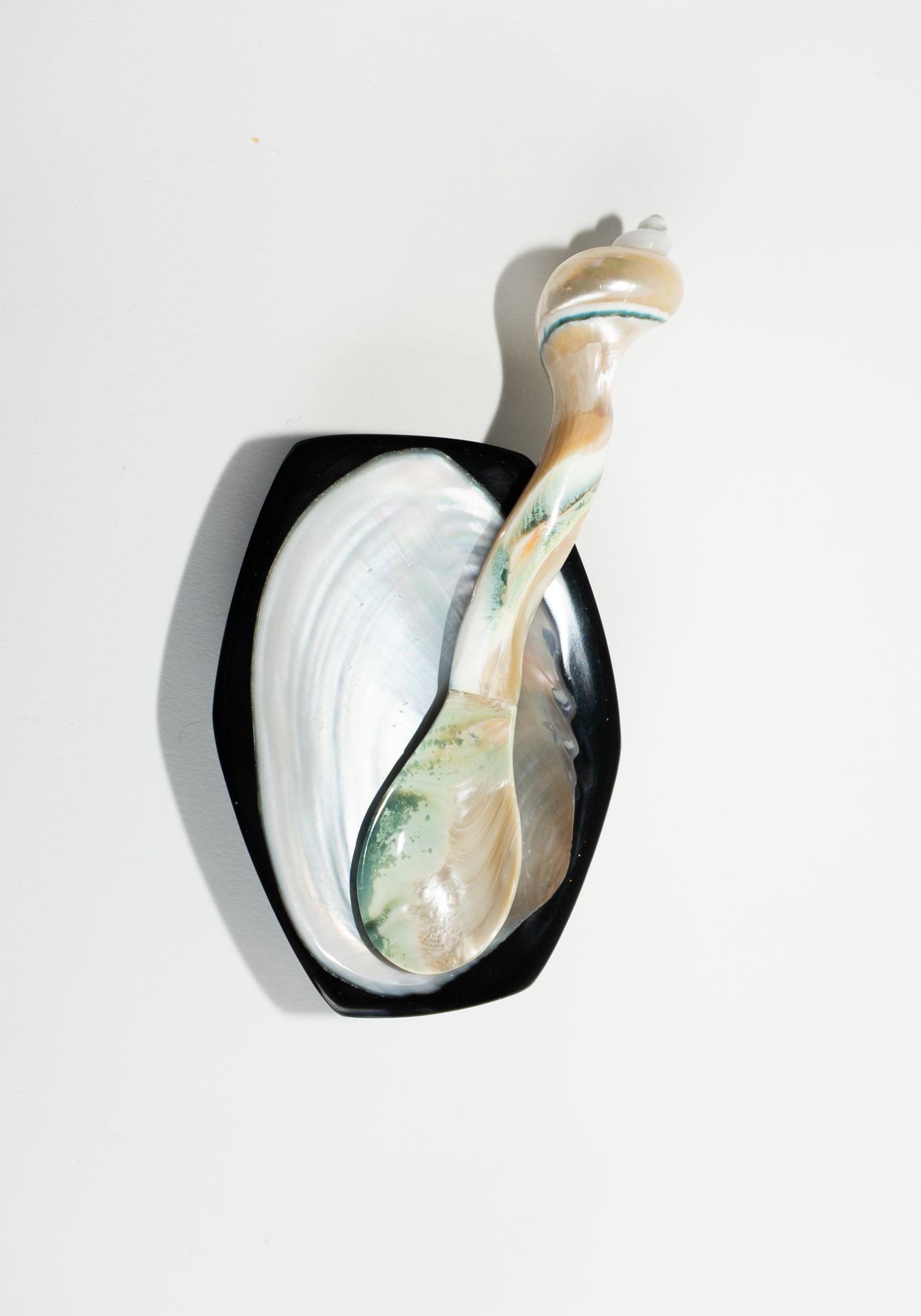 Large Shell Caviar Spoon